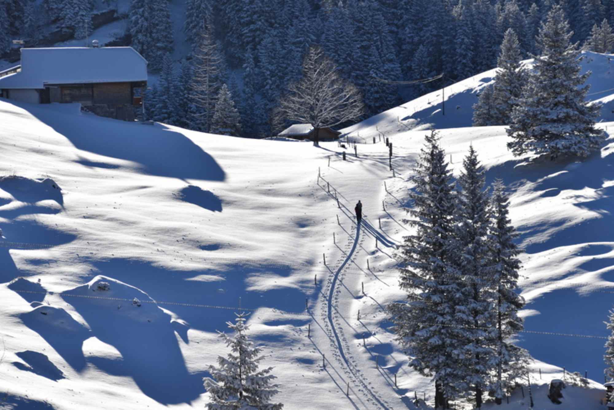 Winter um das Naturfreundehaus Gorneren