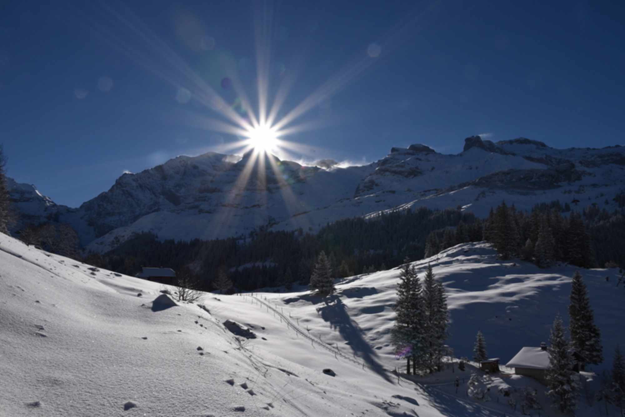 Traumhafte Winterlandschaft um das Haus