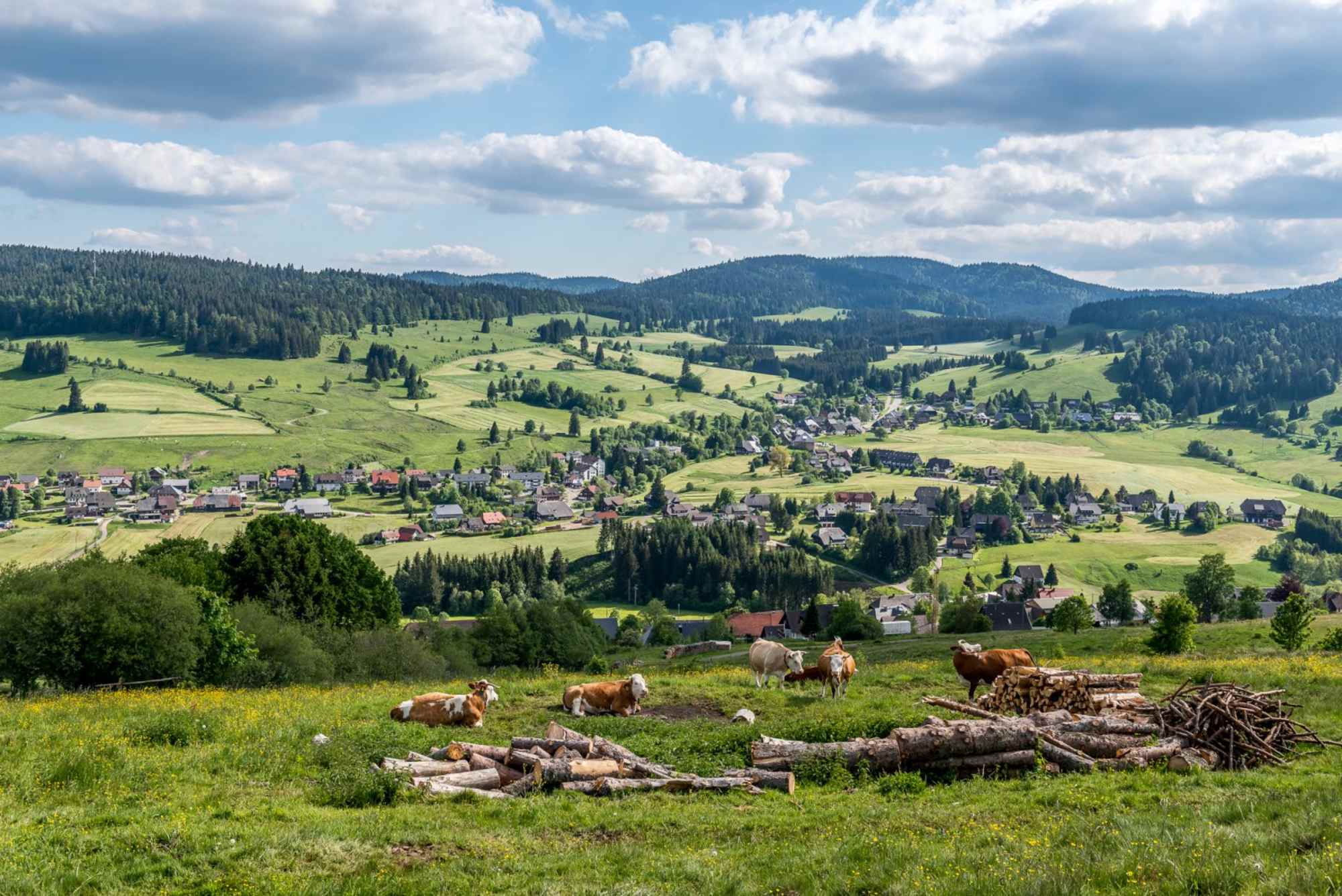 Panoramablicke vom Bernauer Hochtal Steig