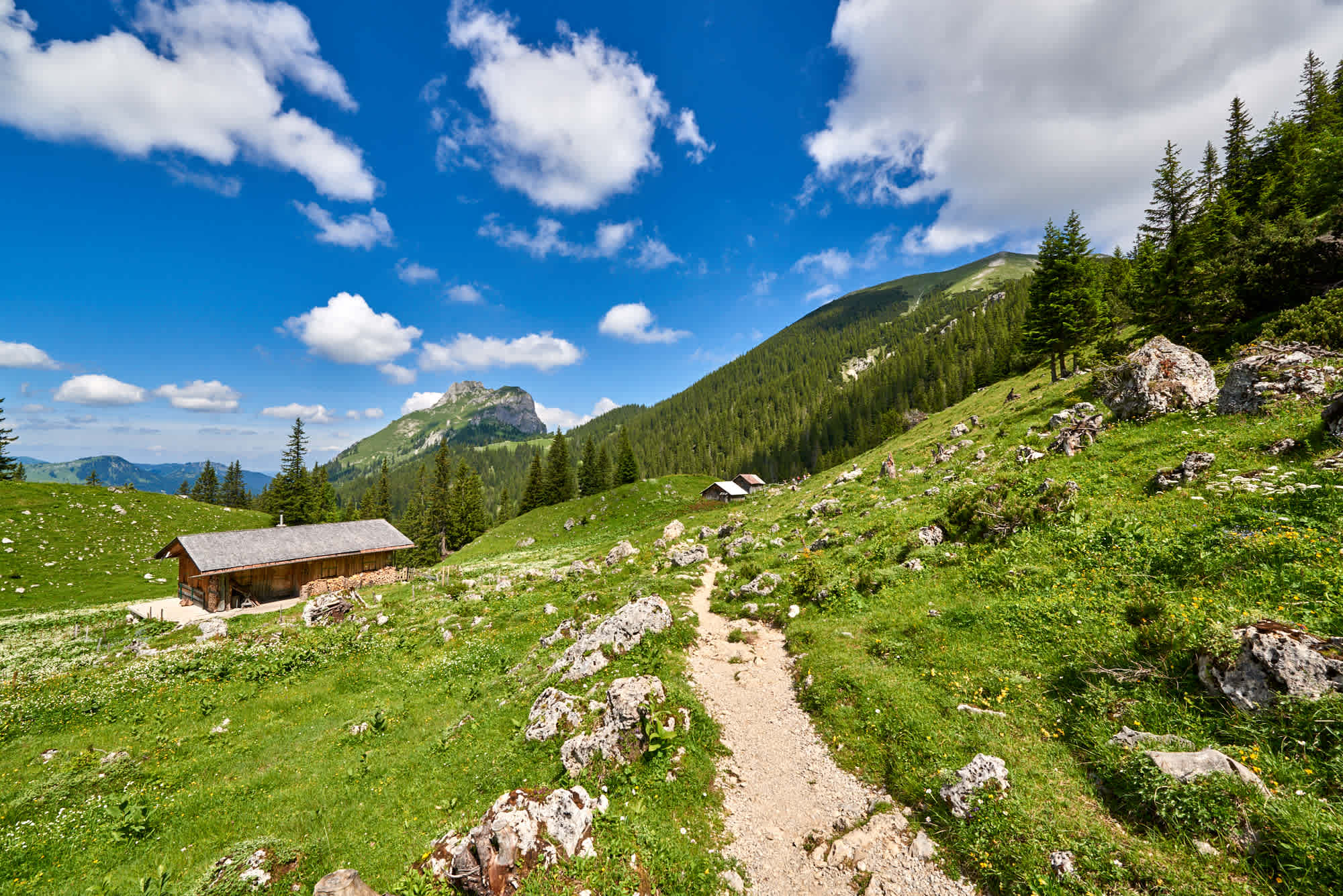 Am Gräner Höhenweg