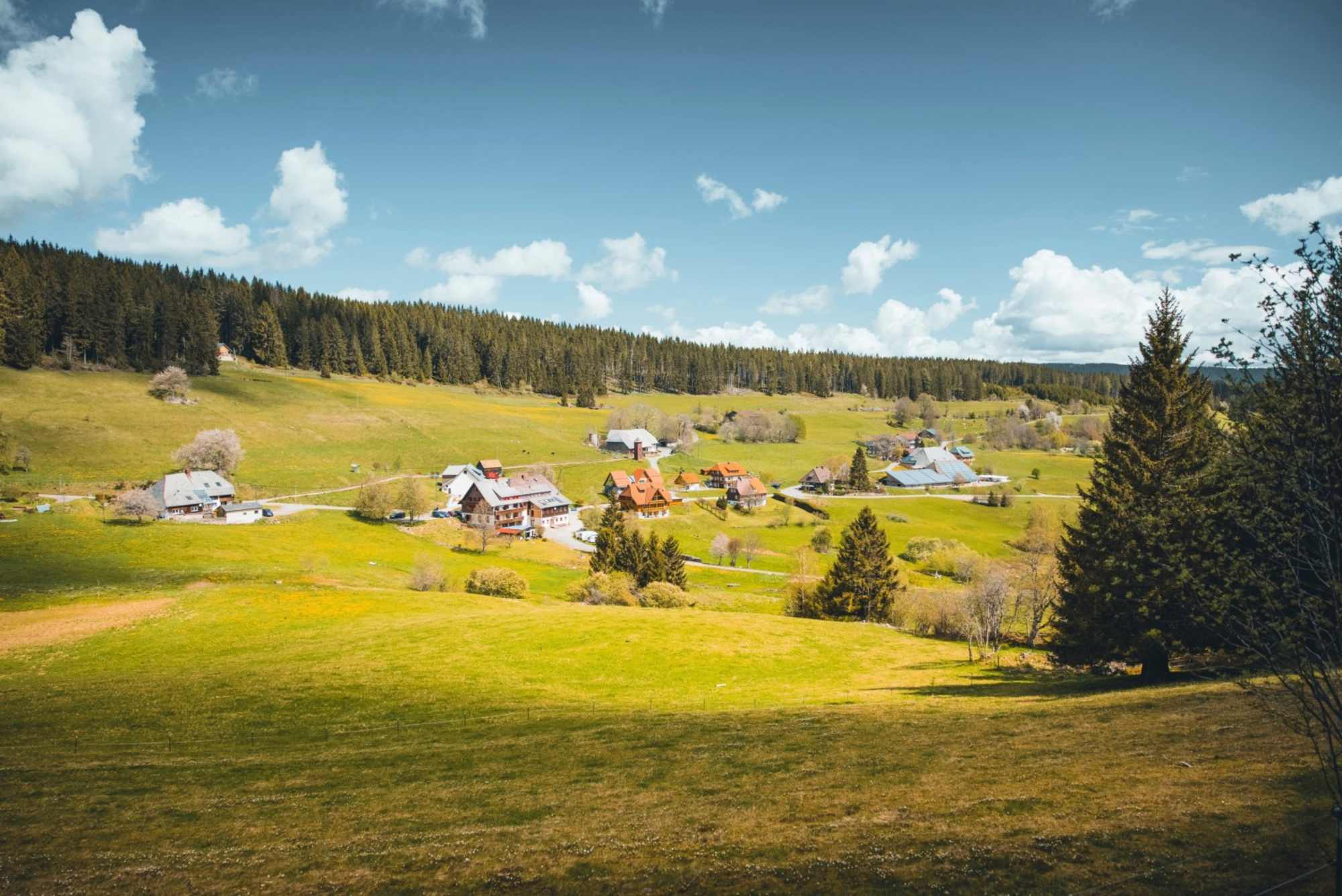 Hochschwarzwälder Hirtenpfad