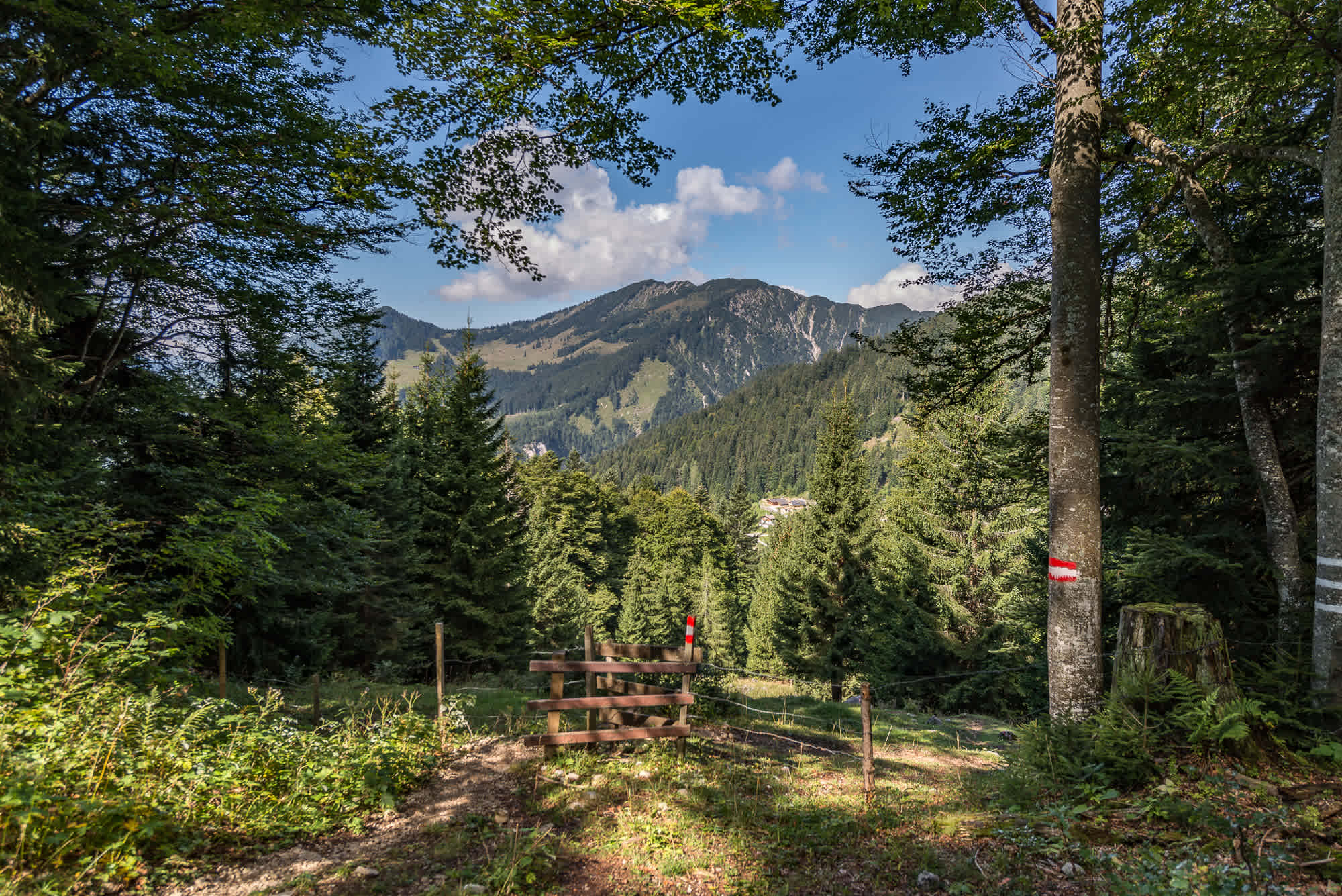 Abstieg von der Hochalm nach Unken