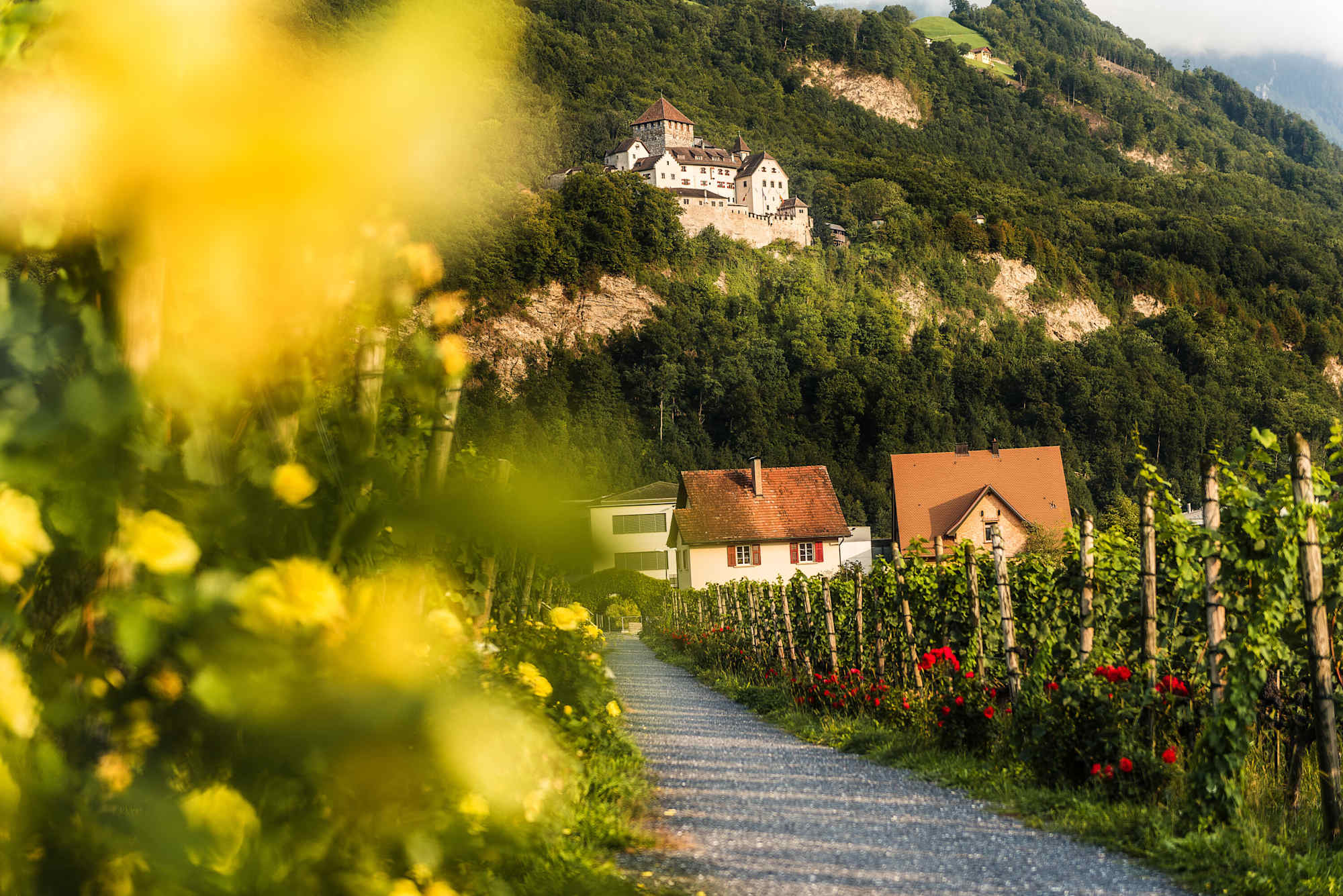 Liechtenstein-Weg Etappe 3