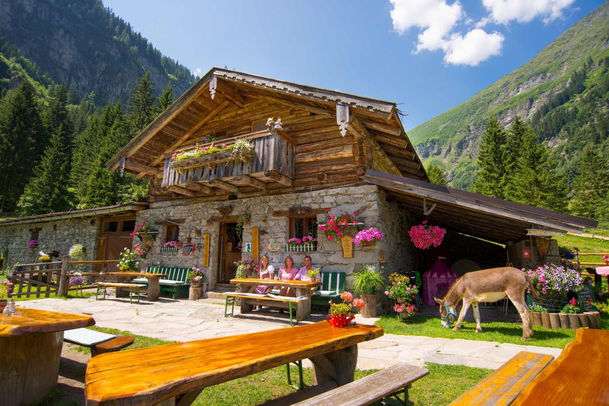 Untere Astenalm