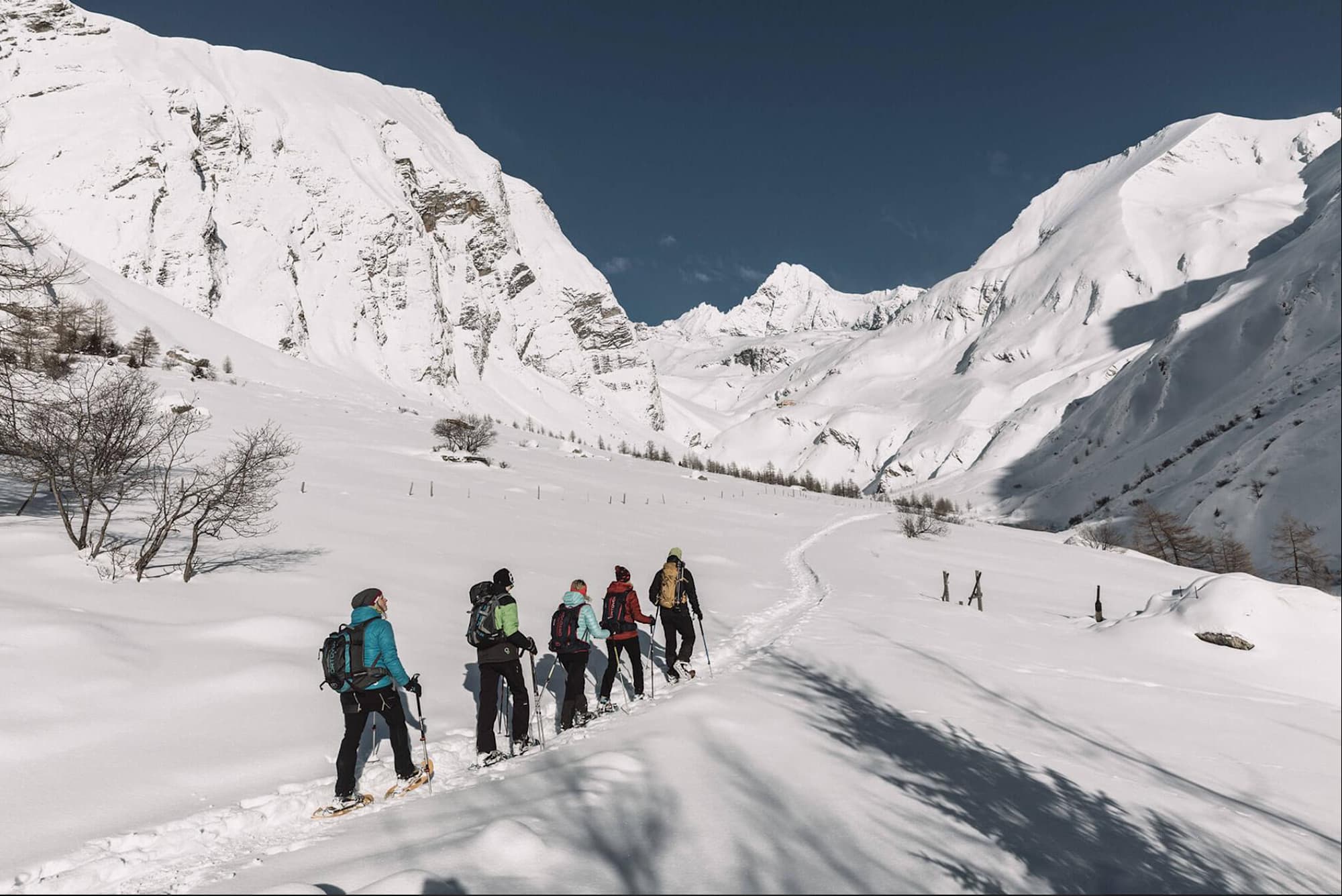Auf der Schneeschuhwanderung im Ködnitztal hat man gute Chance Steinböcke, Gämse oder Bartgeier in freier Wildbahn zu beobachten.