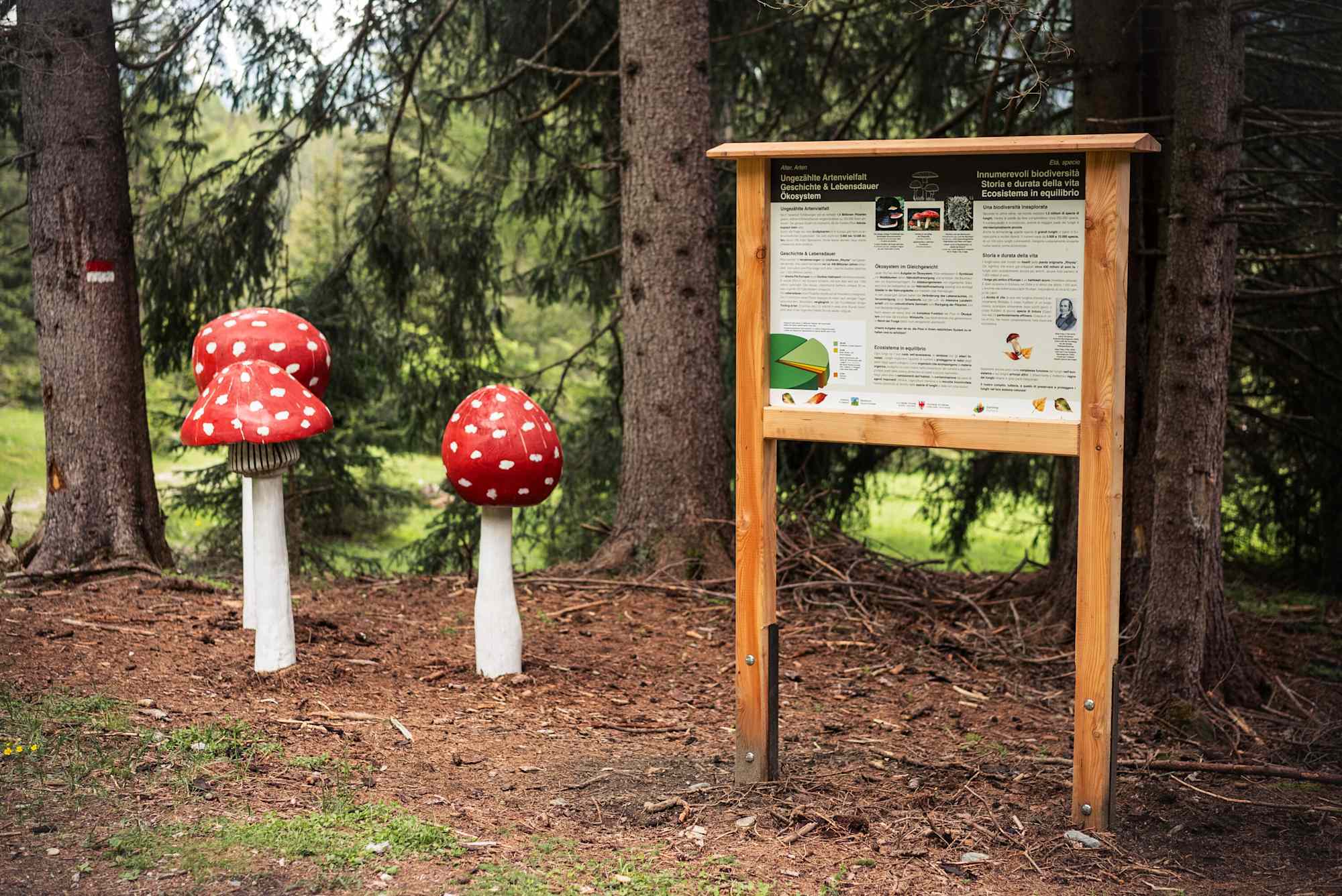 Holzinstallationen am Pilzeweg im Pfitschtal