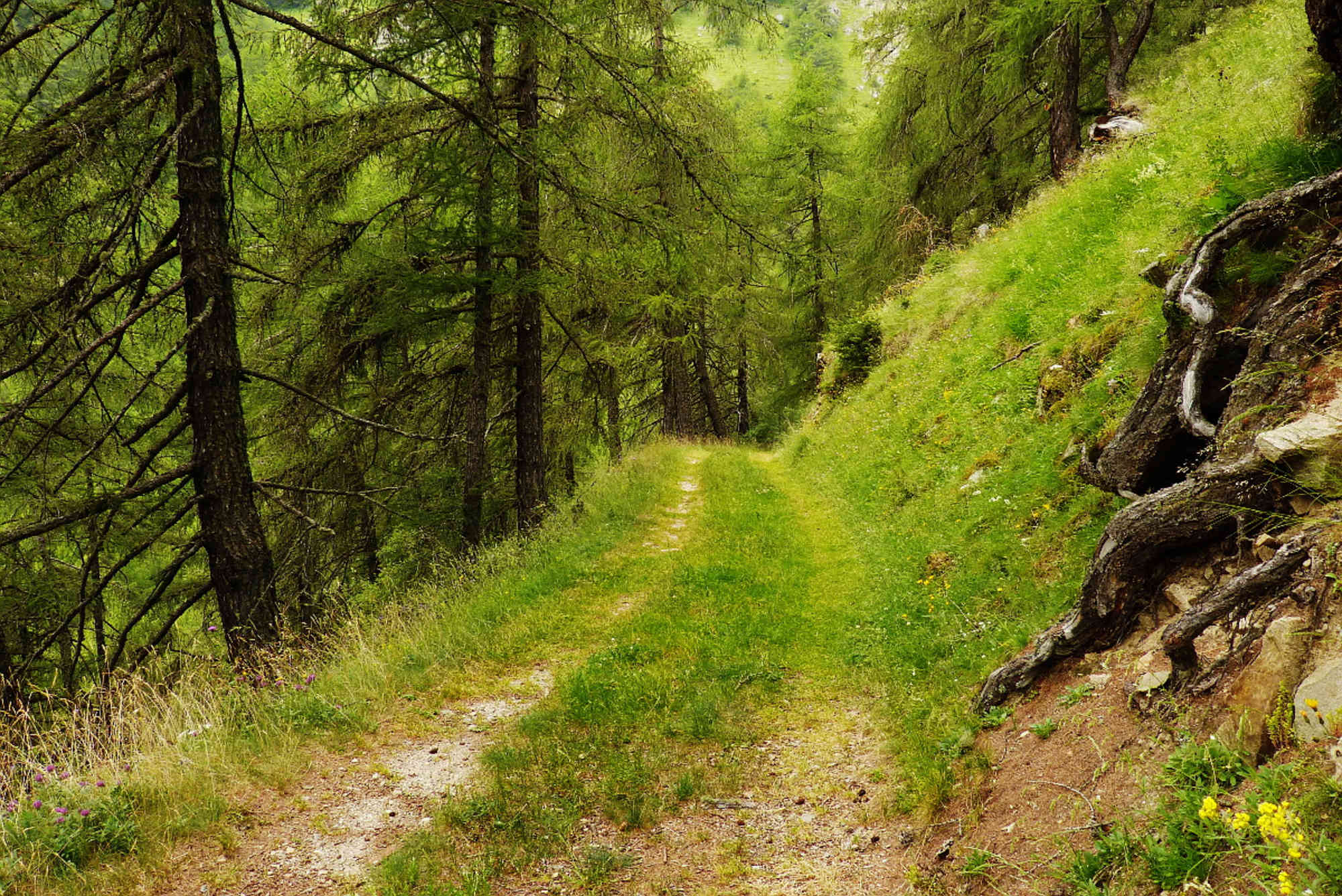 Vinschger Höhenweg