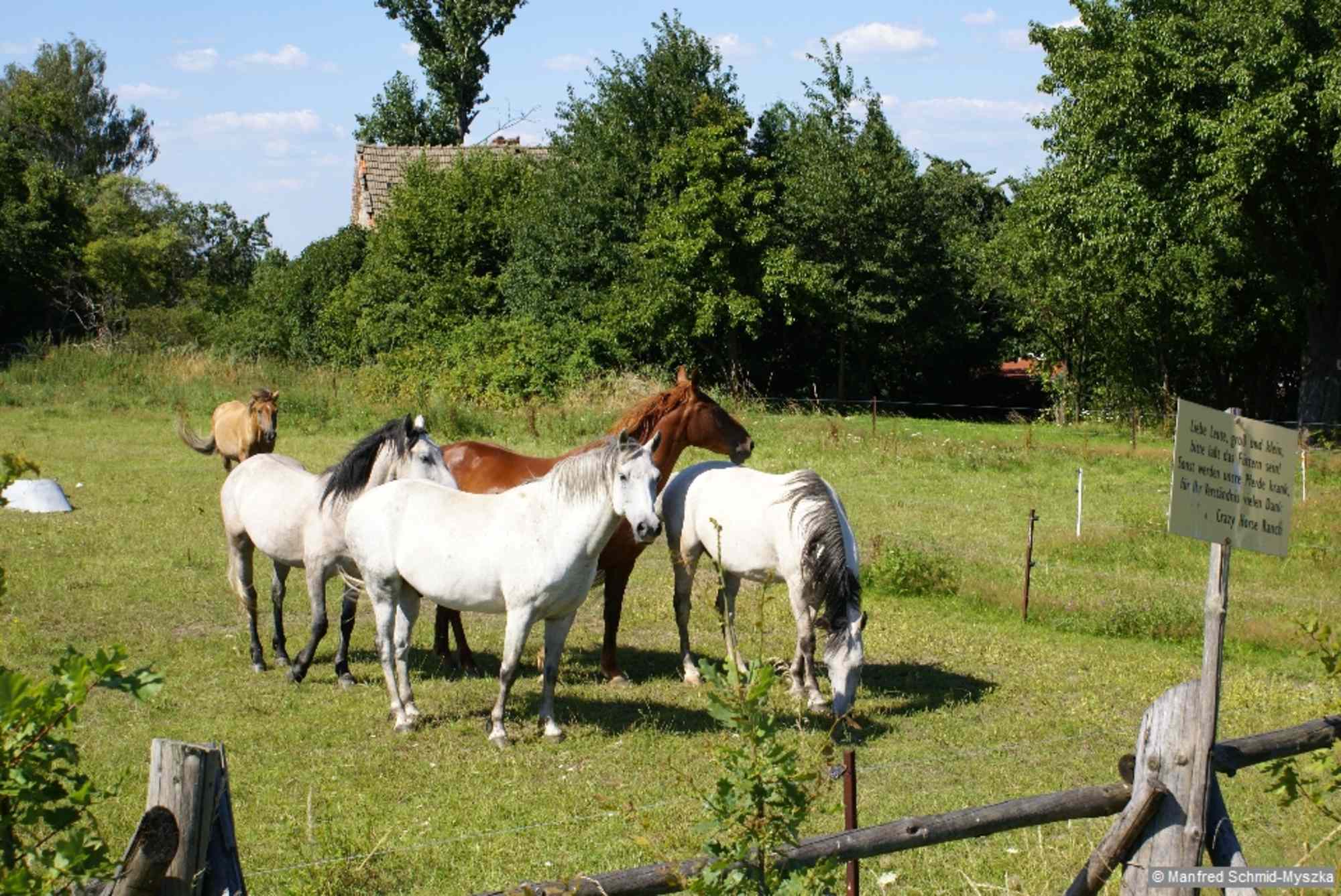 Beim Forsthaus Waldhof.