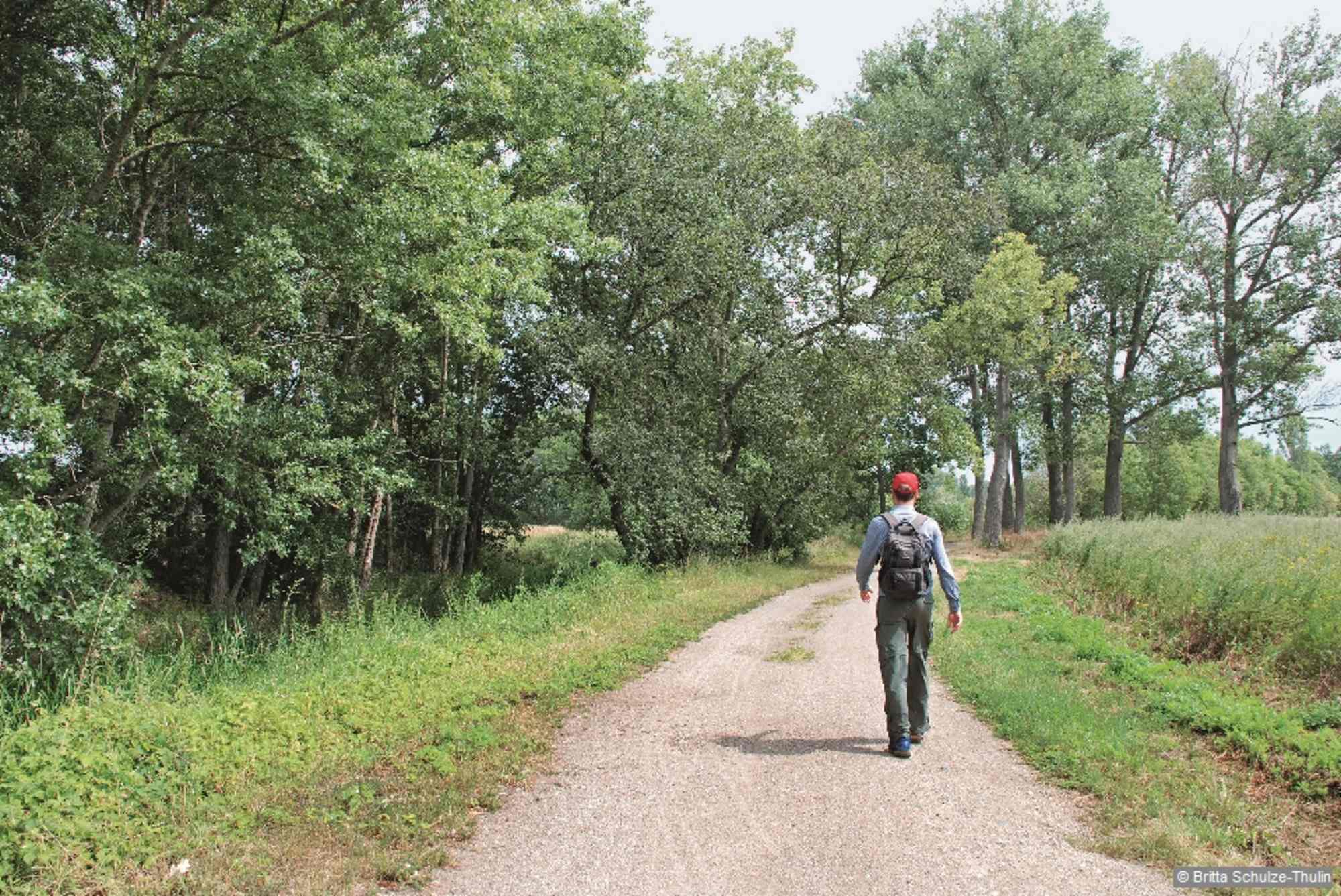 Wanderweg beim Teichgebiet Kosebruch.