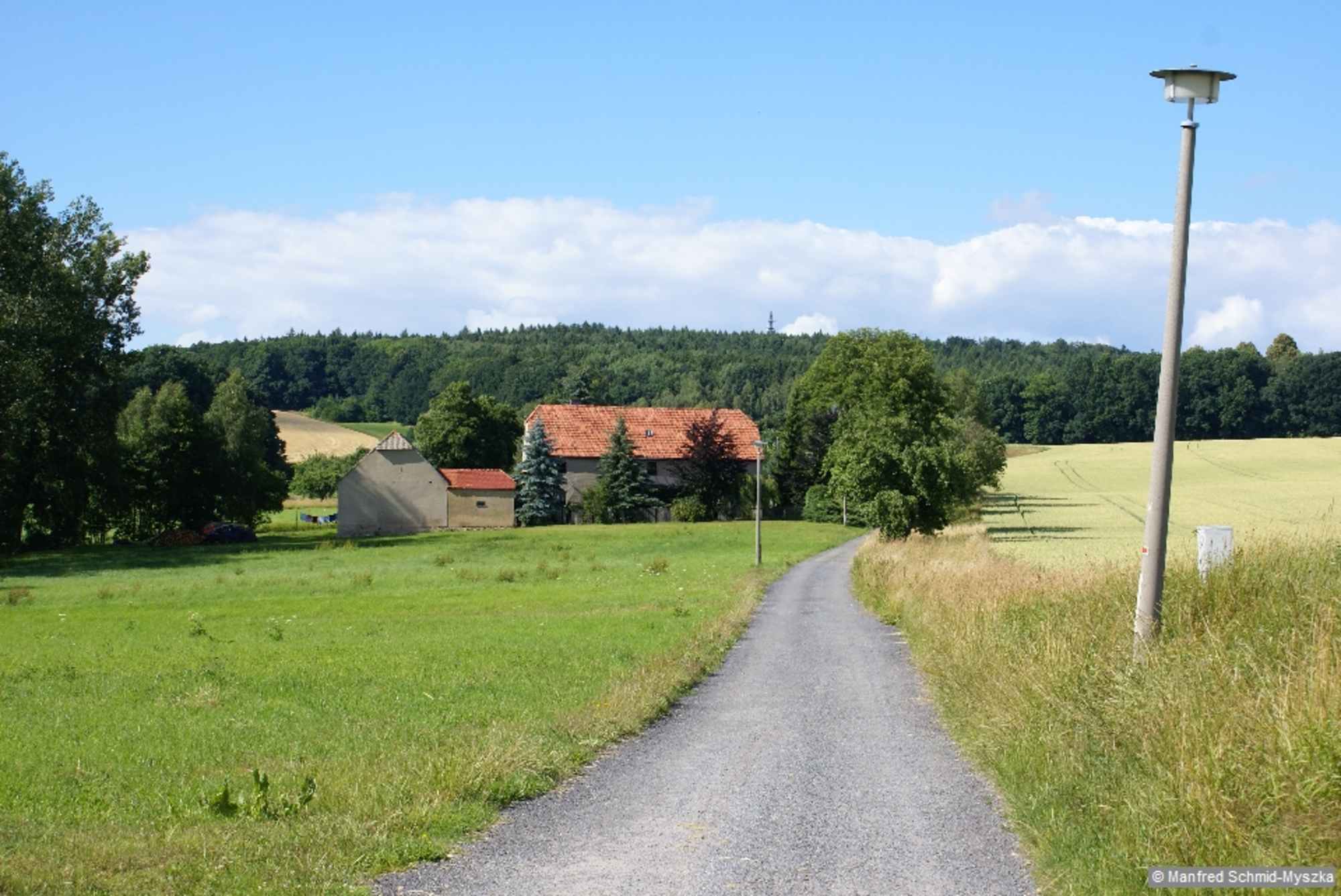 Auf einem Feldweg wandern wir nach Pickau hinab.