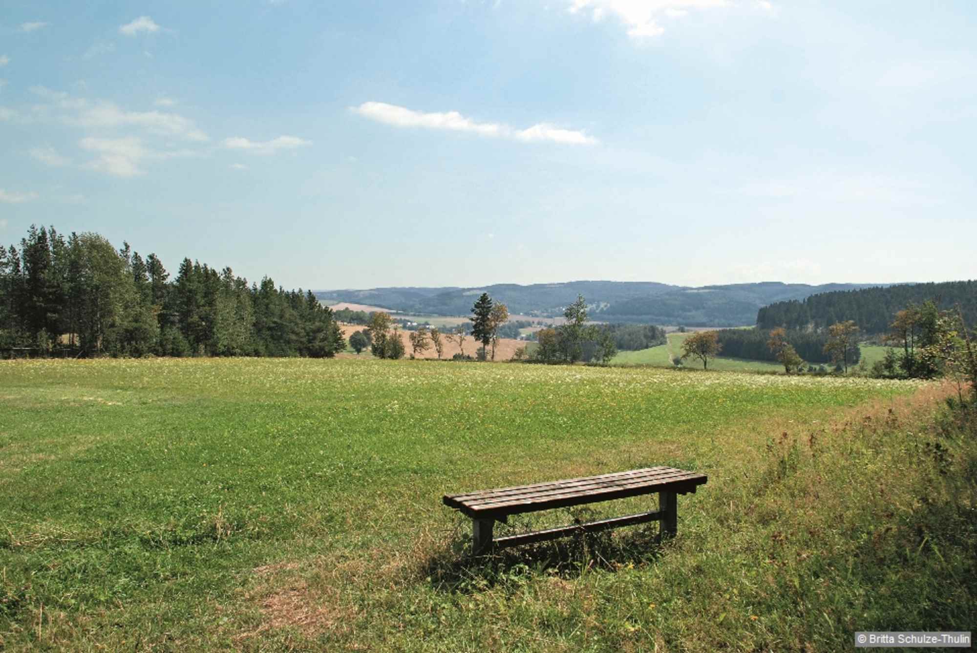 Vom Kammweg bieten sich nahe Kreuztanne schöne Aussichten.