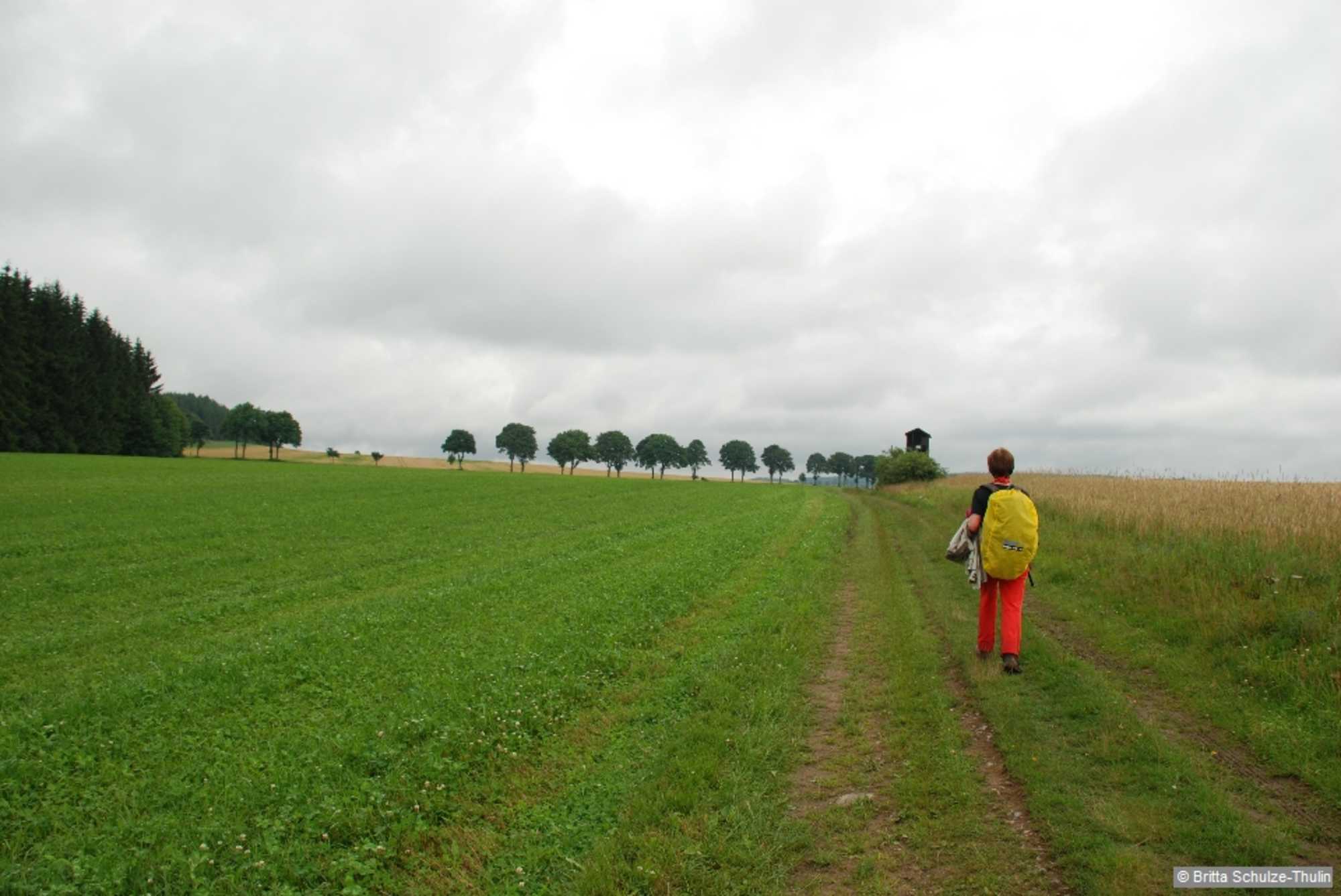 Rückweg nach Sayda.