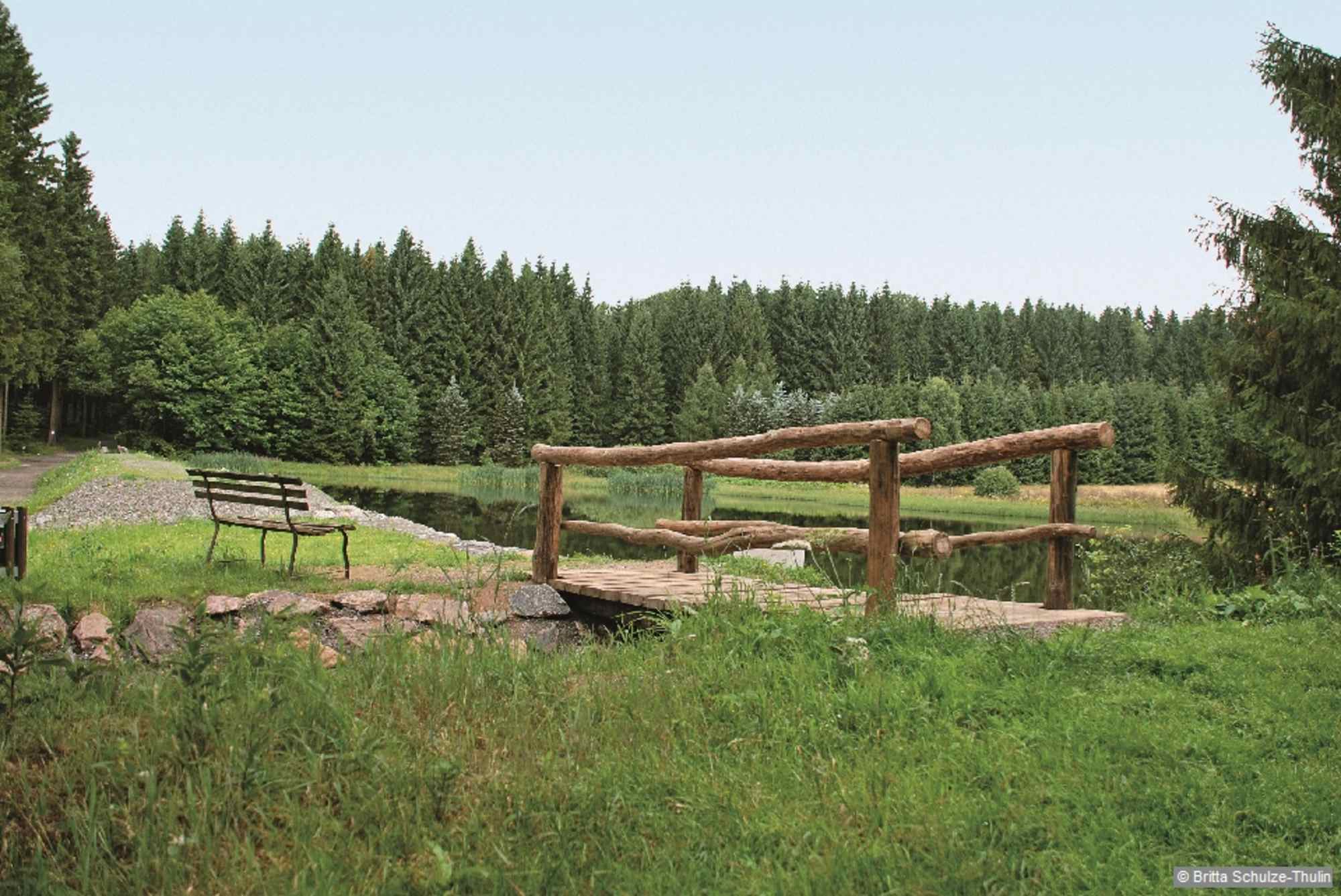 An einer Kreuzung leitet uns der Kammweg nach rechts, an der nächsten führt geradeaus ein Abstecher zum Schwemmteich.