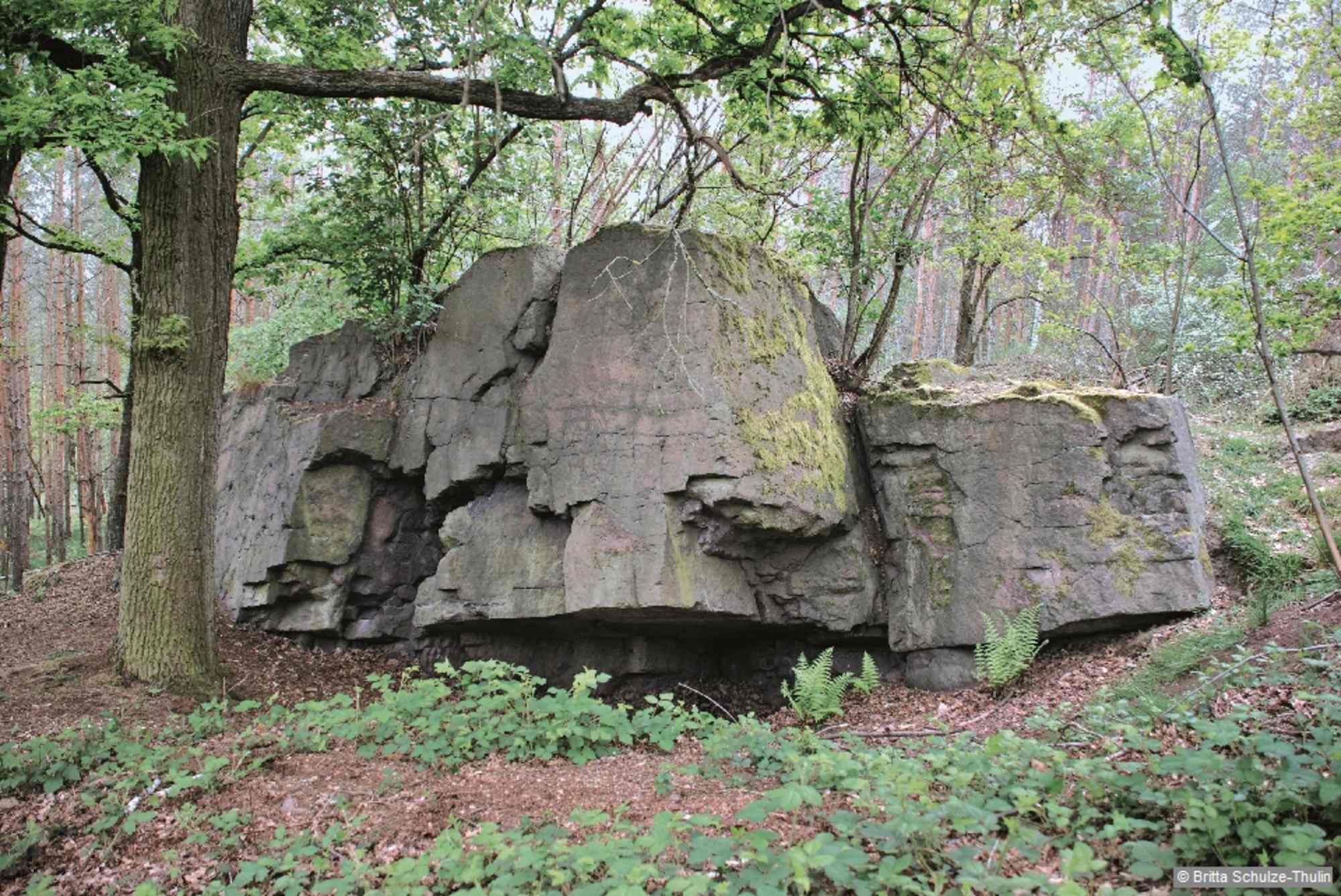 Der Napoleonstein. Der Legende nach soll Napoleon 1812 hier übernachtet haben.