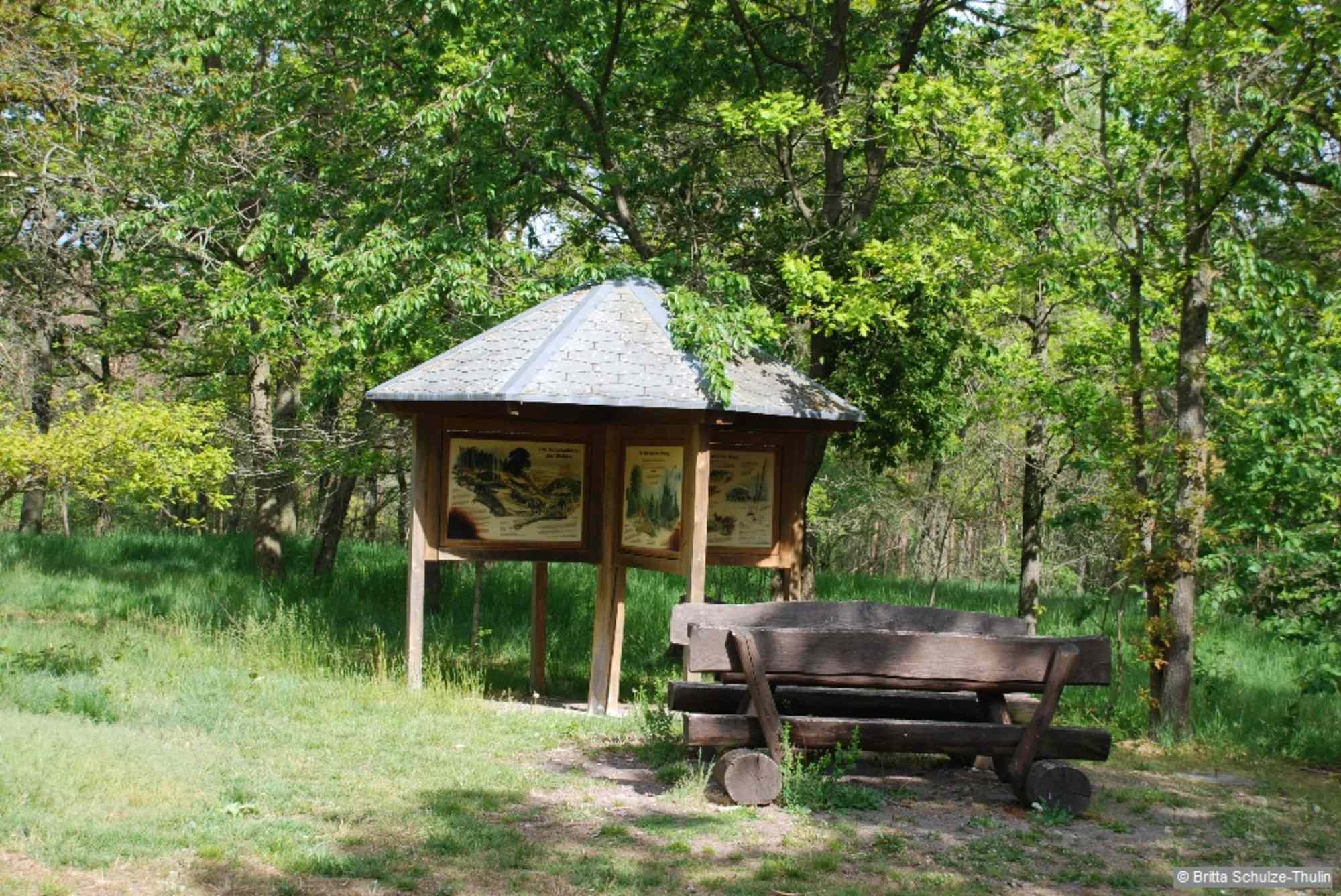 Bald ist der Schildberg (217 m) mit seinem steinernen Aussichtsturm von 1936 erreicht.