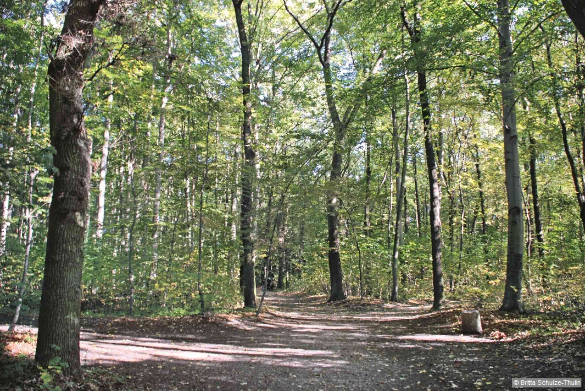 Im Martzsch-Park.