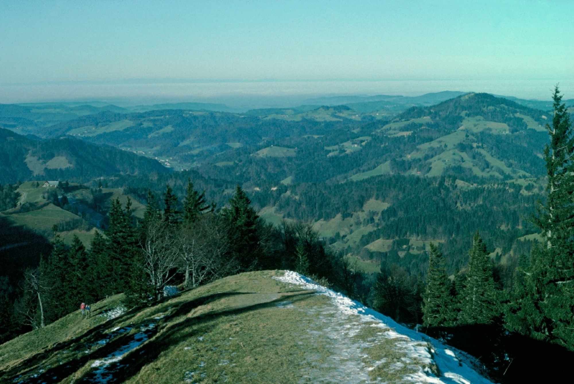 Schnebelhorn