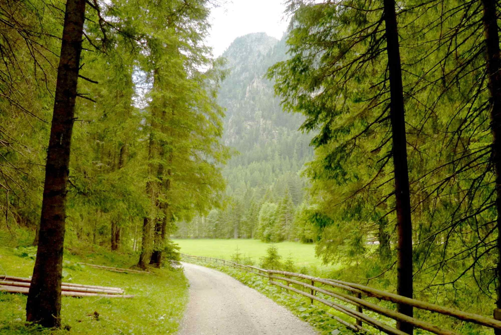 Von Hintergöriach zur Hansalhütte
