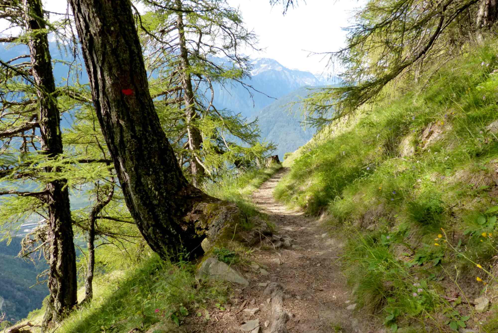 Vinschger Höhenweg