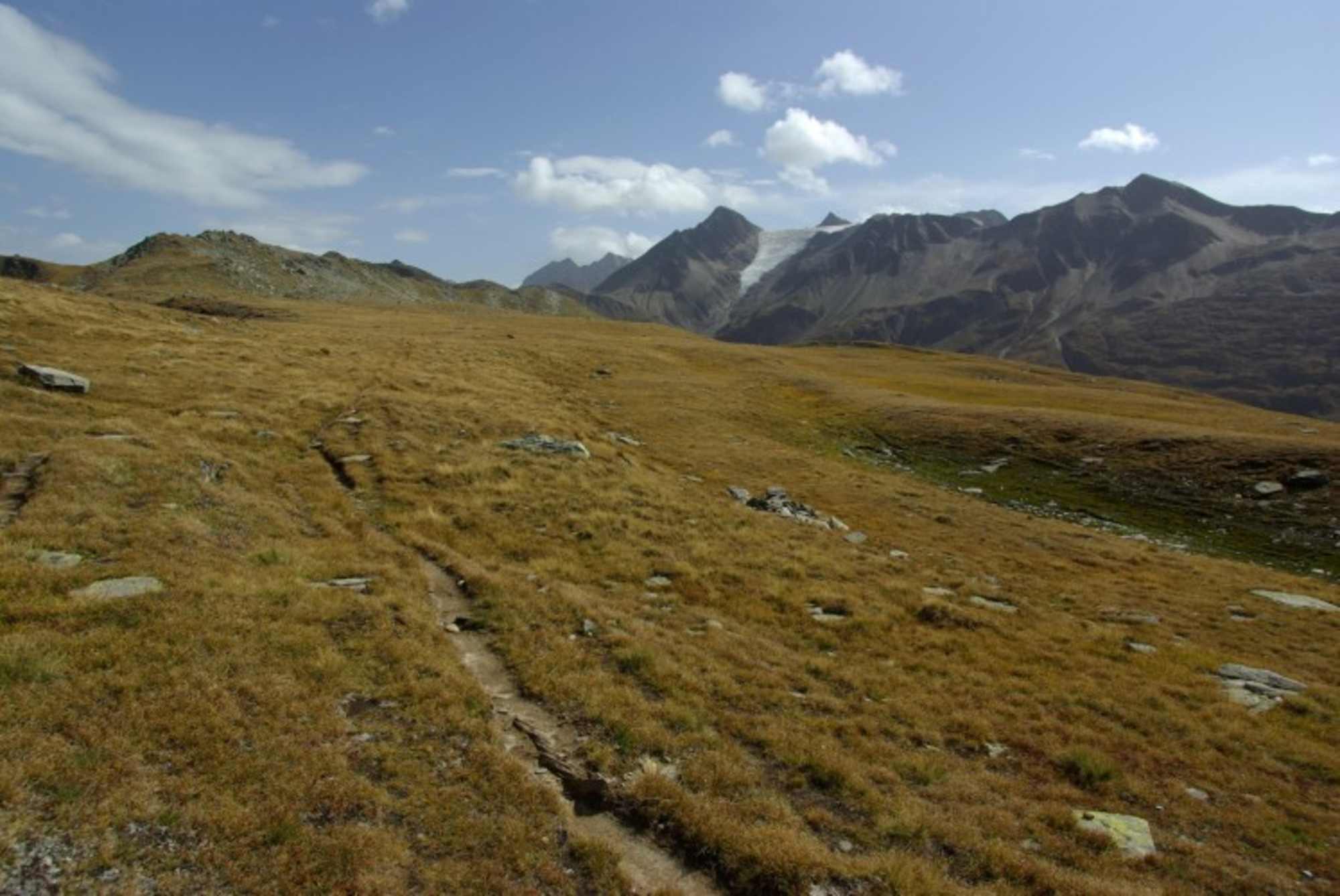 Am Weg zum Gipfel