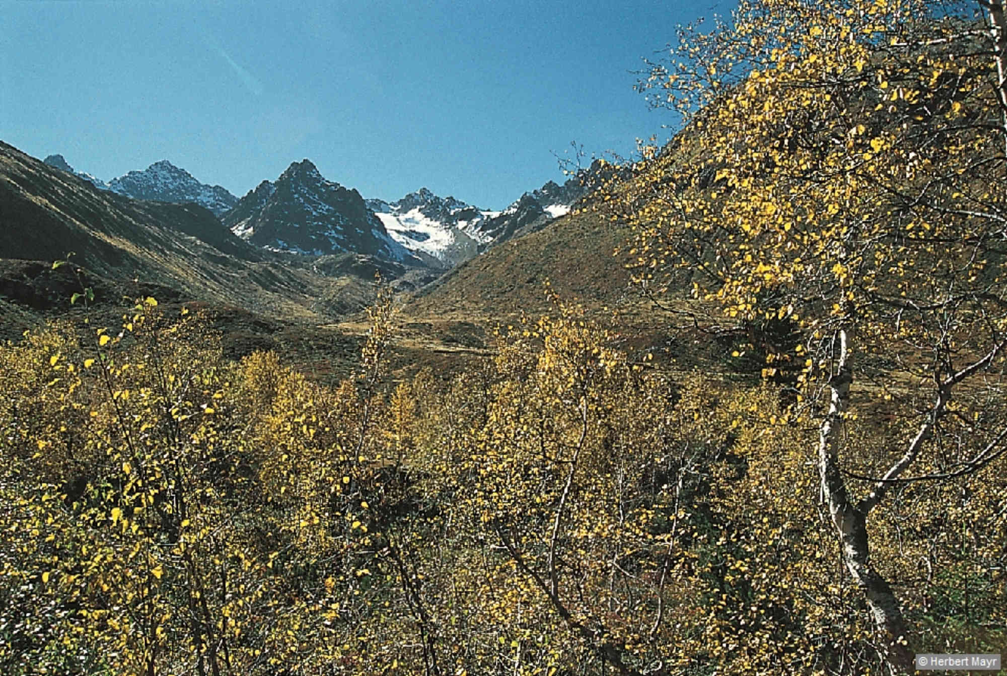 Stolz wächst der Kleinlitzner aus dem herbstlichen Kromertal.