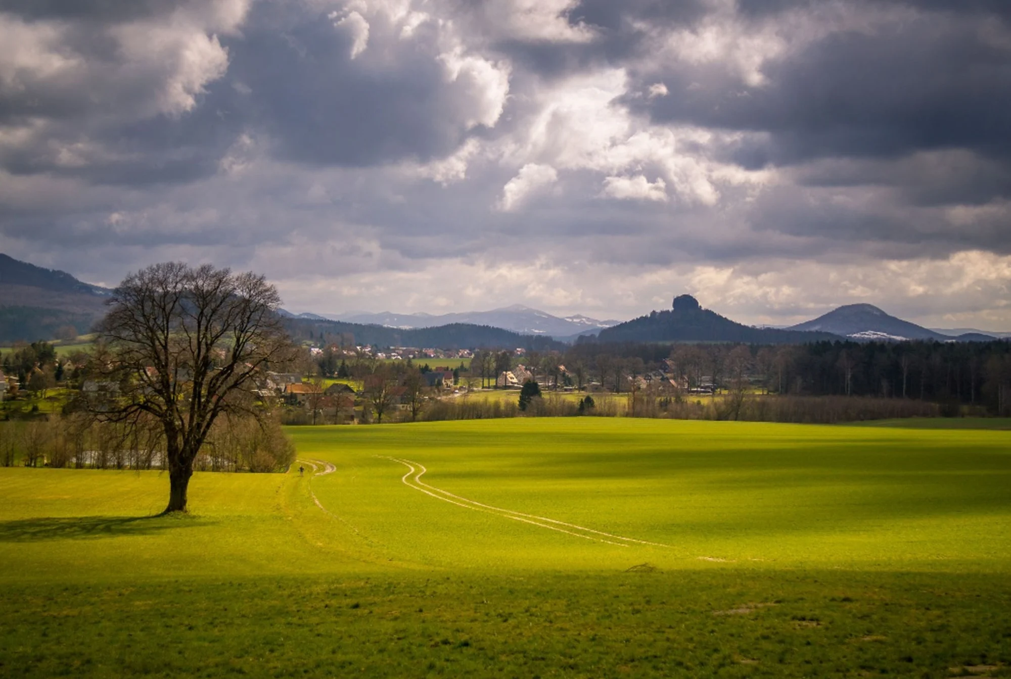 Blick auf den Papststein vom Gohrisch