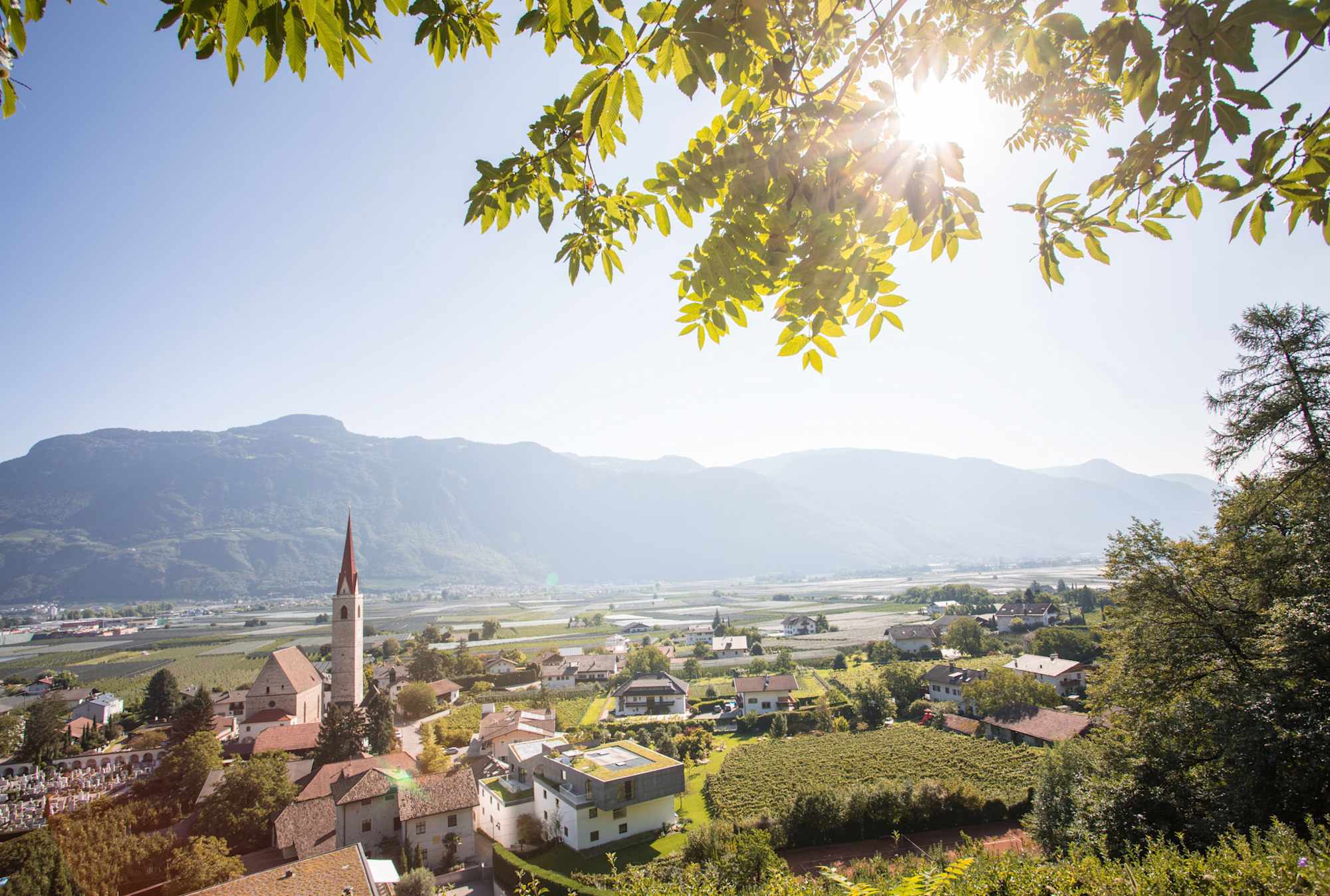 Blick vom Brandis Waalweg nach Niederlana