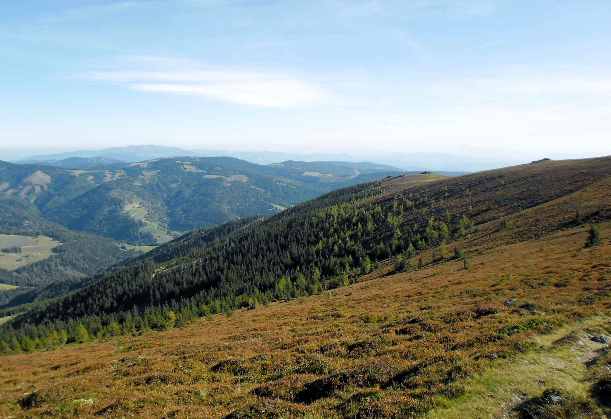 Auf der Hirschegger Alm