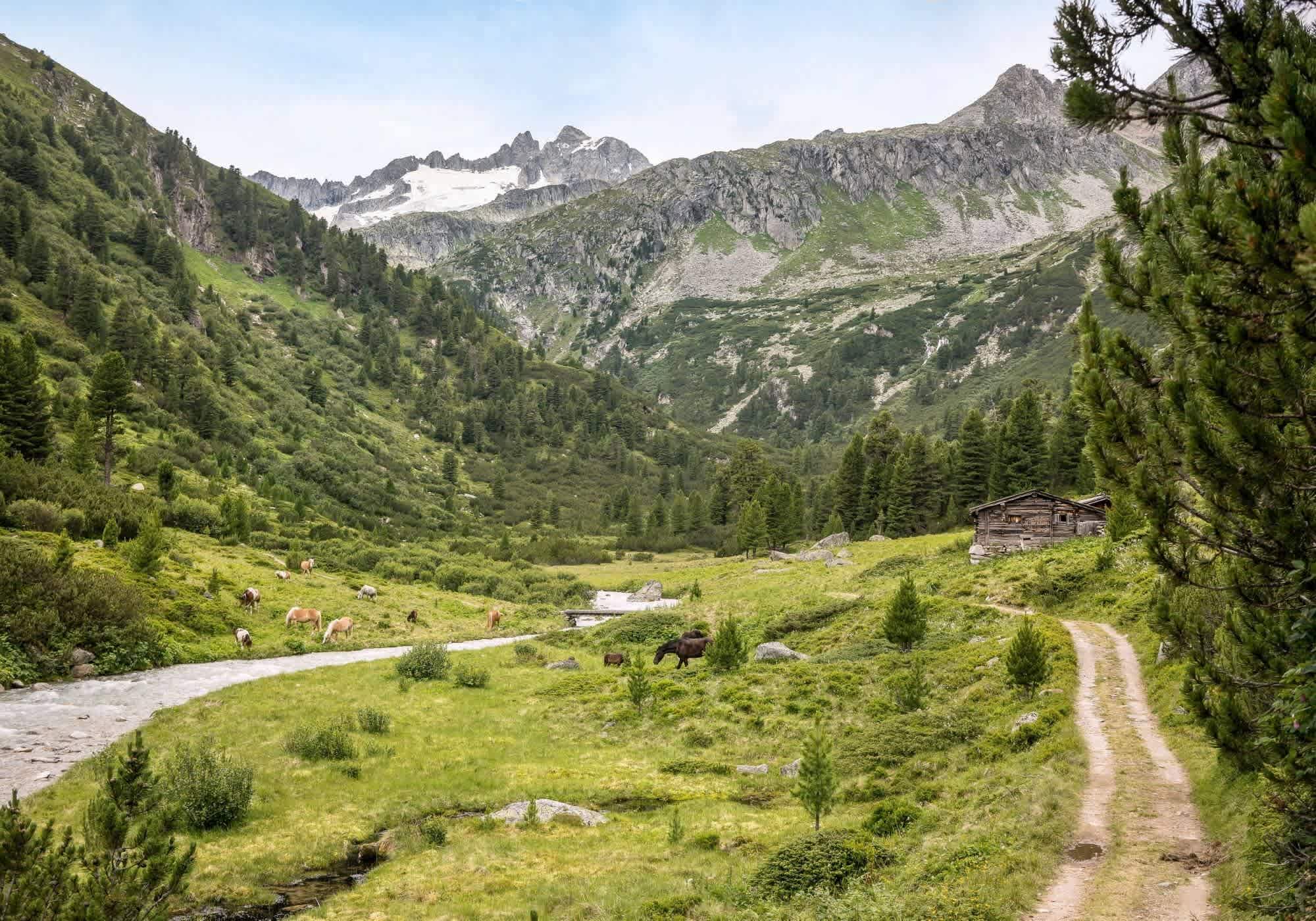 Richterhütte