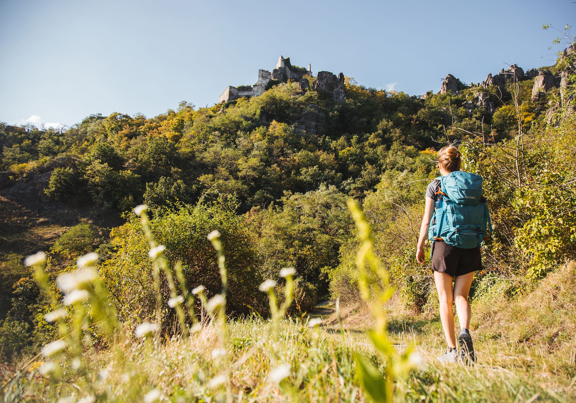 Ruine Dürnstein