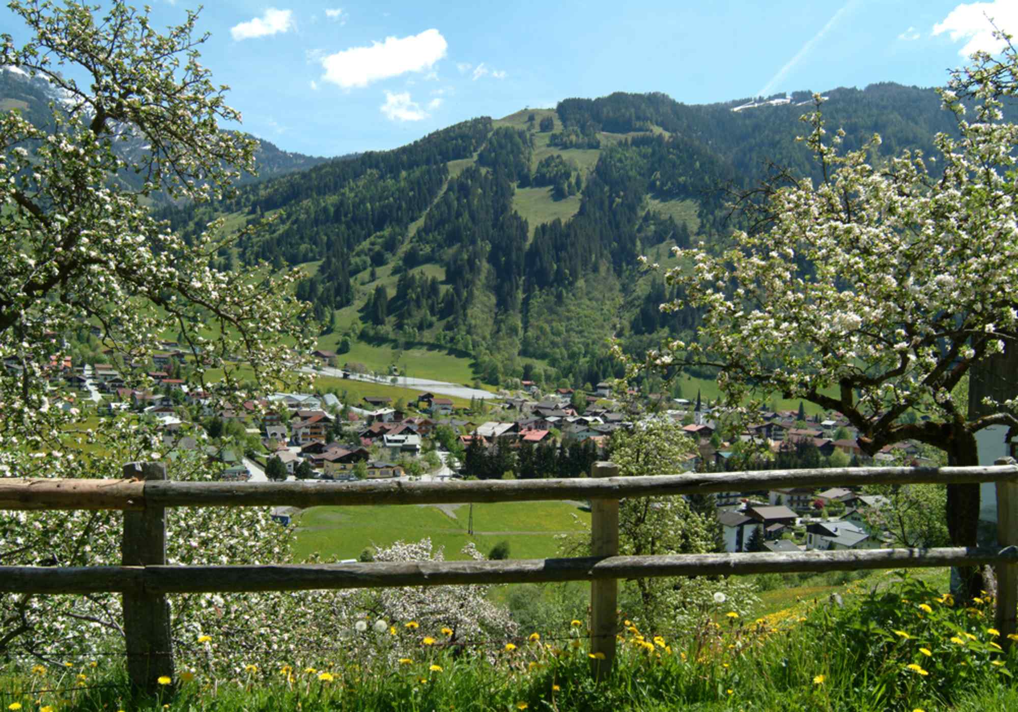 Dorfgastein im Sommer