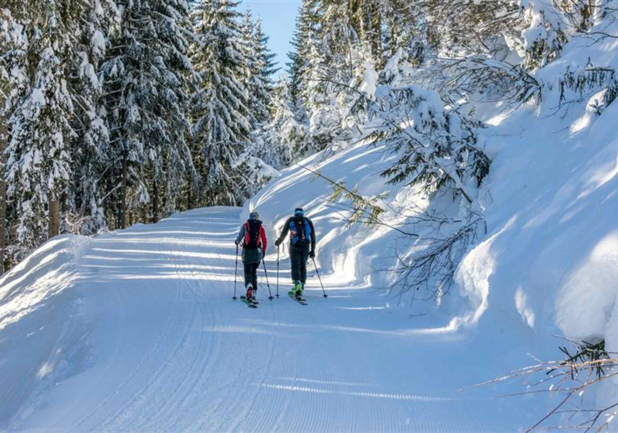 Über sanfte Forststraßen geht es von der Talstation des Sessellifts Resterhöhe hinauf zur Sonnalm.