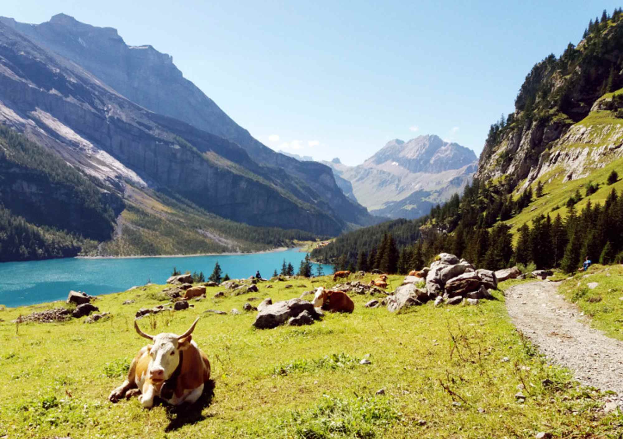 Oeschinensee