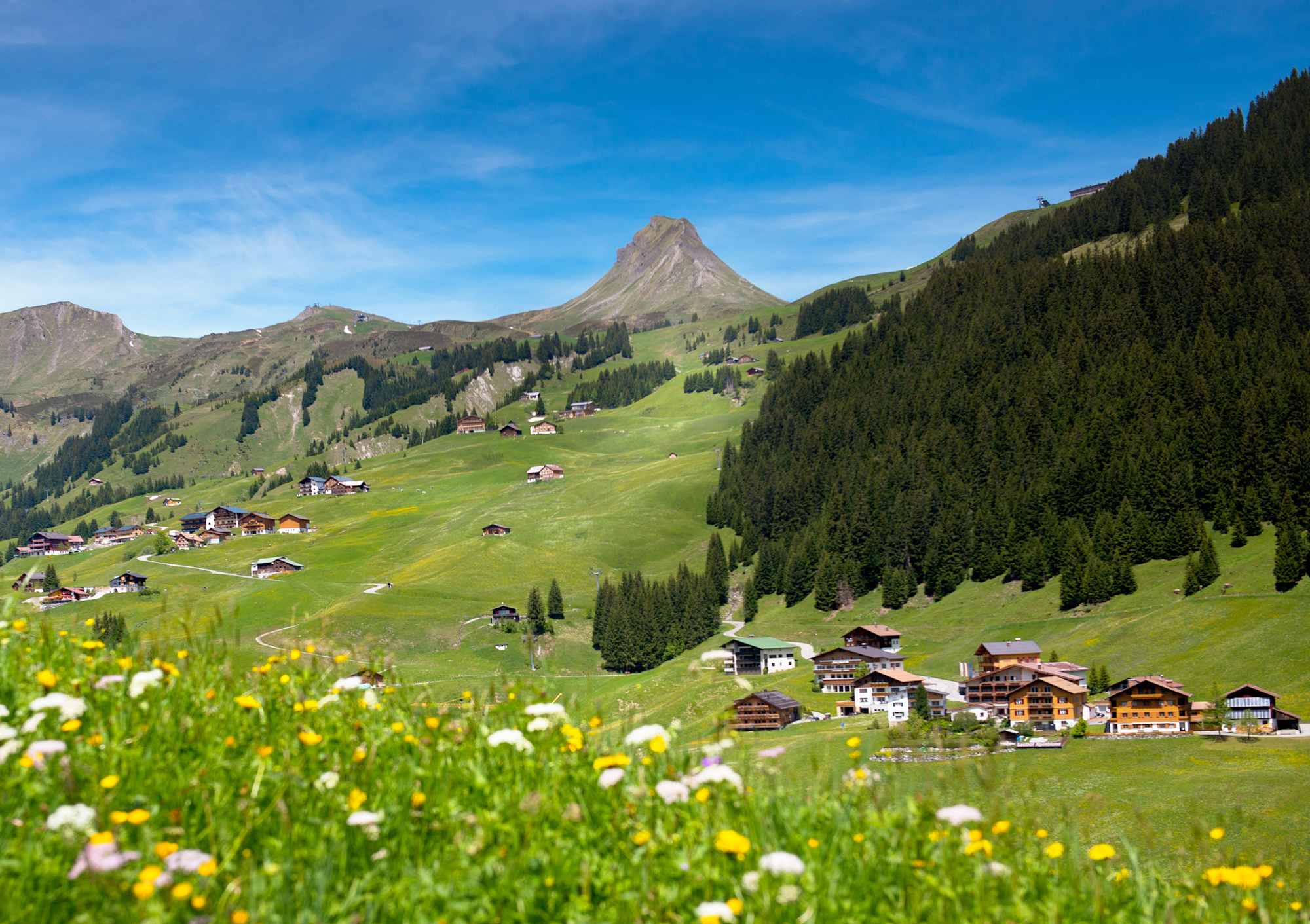 Damülser Mittagsspitze