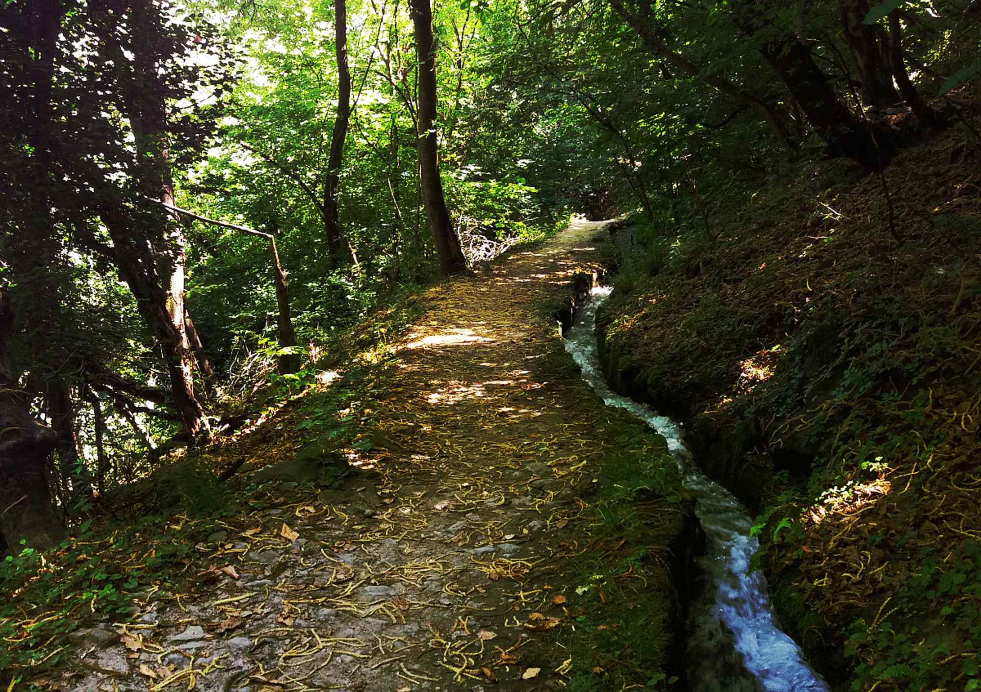 Schattiger Waalweg