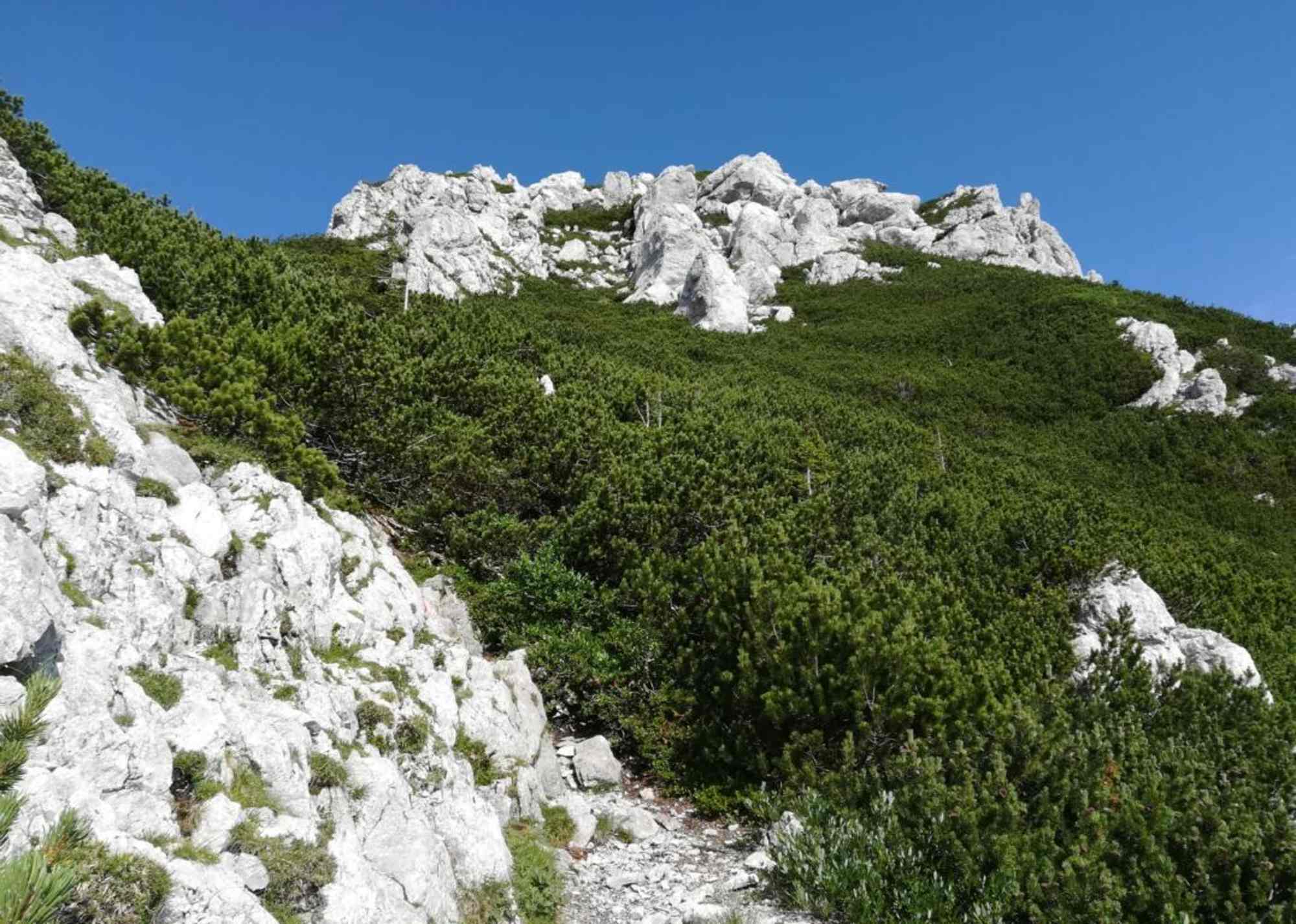 knapp vor dem Krainer Storžič –Felsformationen