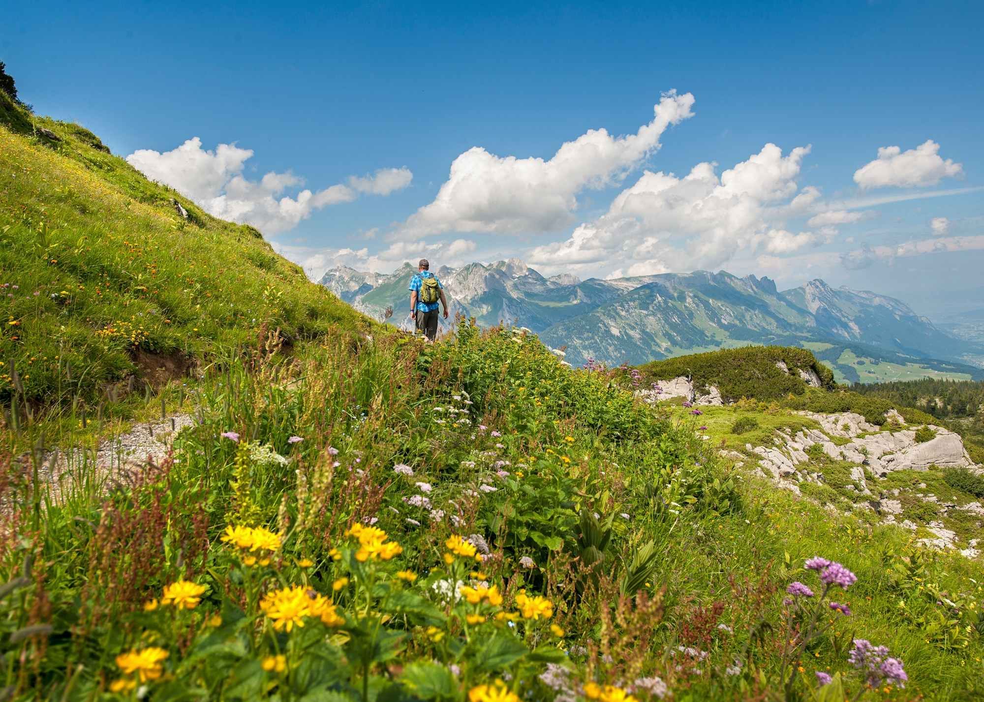 Am Geologischen Rundweg