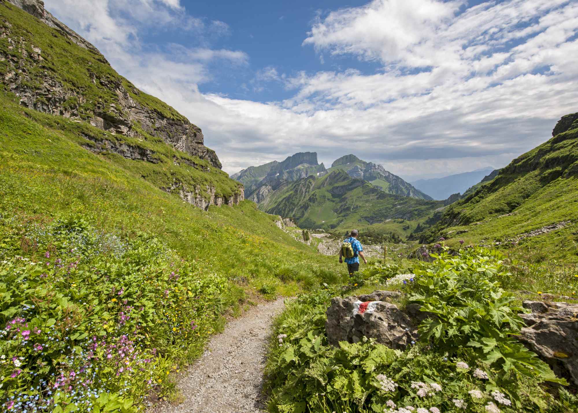Am Geologischen Rundweg