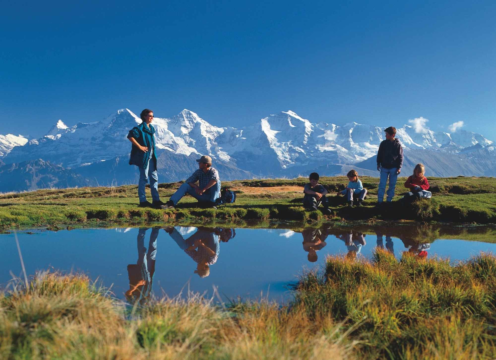Beim Hohseil Seelein können Bergmolche beobachtet werden.