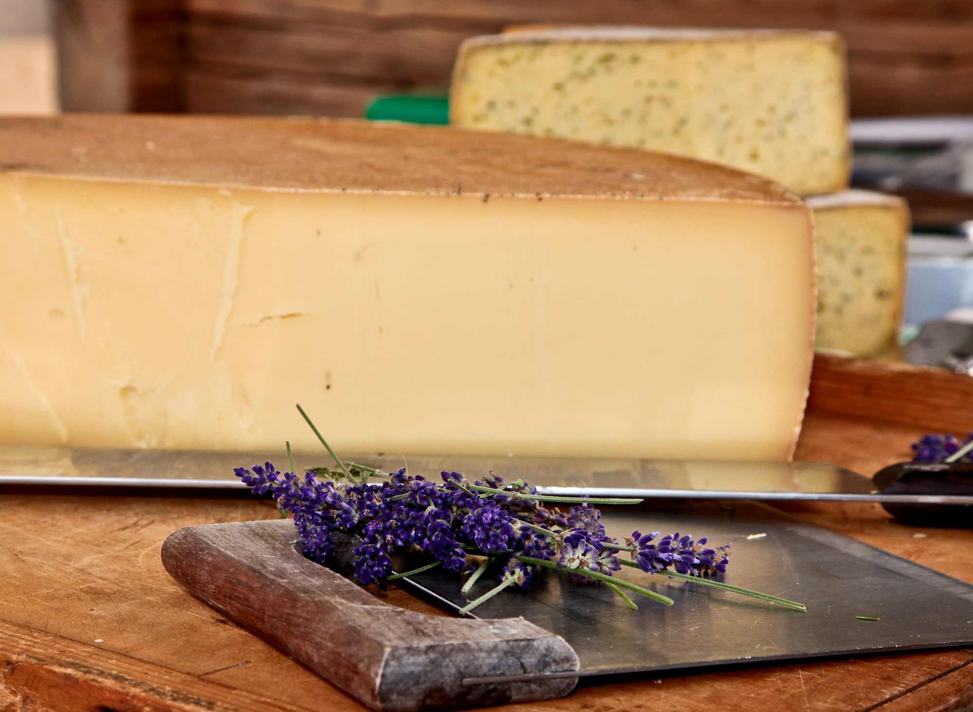 Köstlicher Käse auf der Sennerei Schweizerhütte