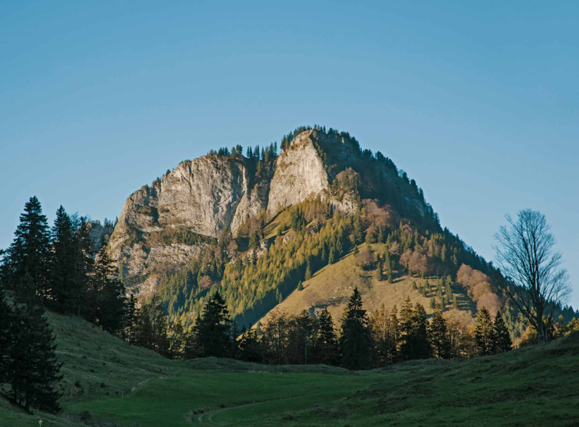Blick zum Heuberg im letzten Abendlicht.