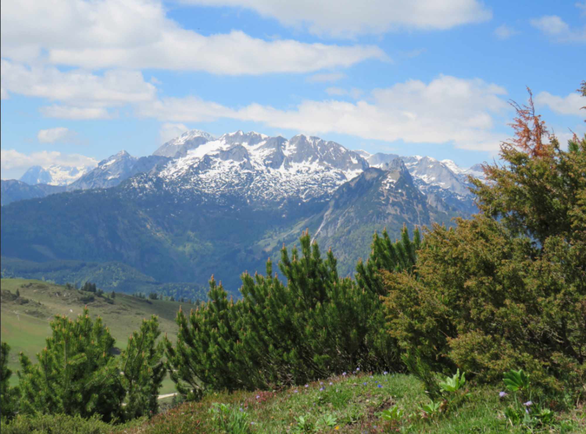 Aussicht von der Zwieselalm