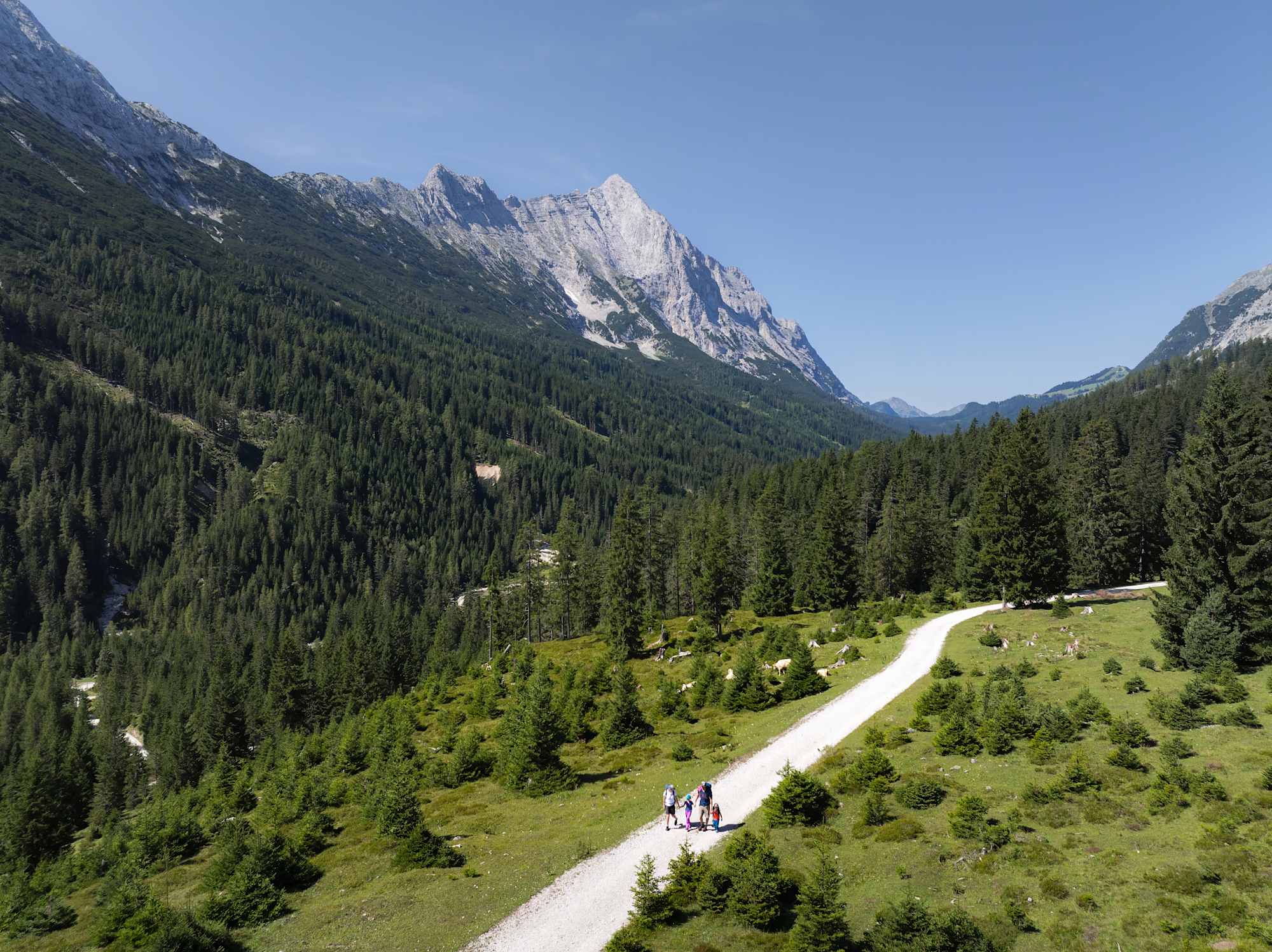 Familienwanderung im Gaistal: Familie läuft auf breitem Wanderweg