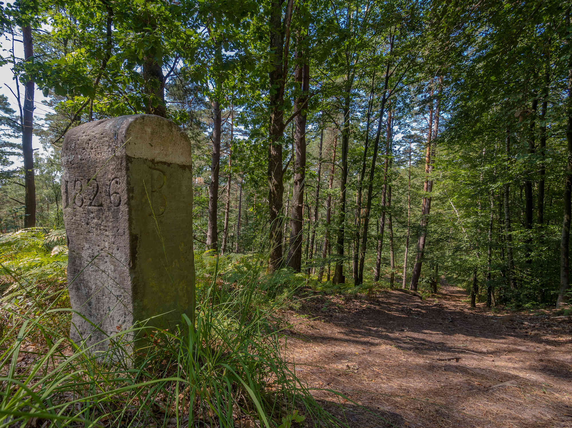 Grenzweg Eppenbrunn