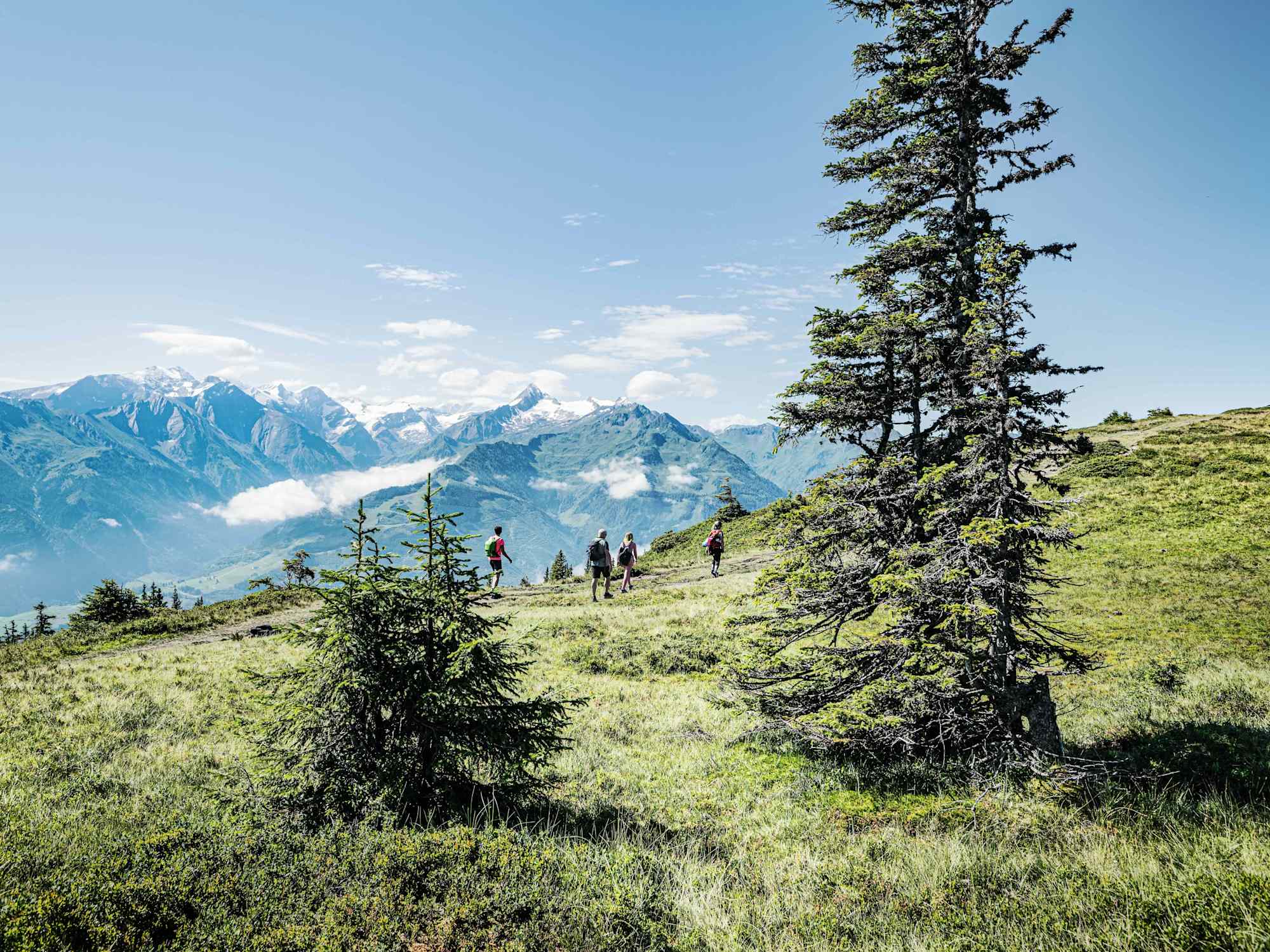 Am „Pinzgauer Spaziergang“ mit herrlicher Aussicht in den Nationalpark Hohe Tauern