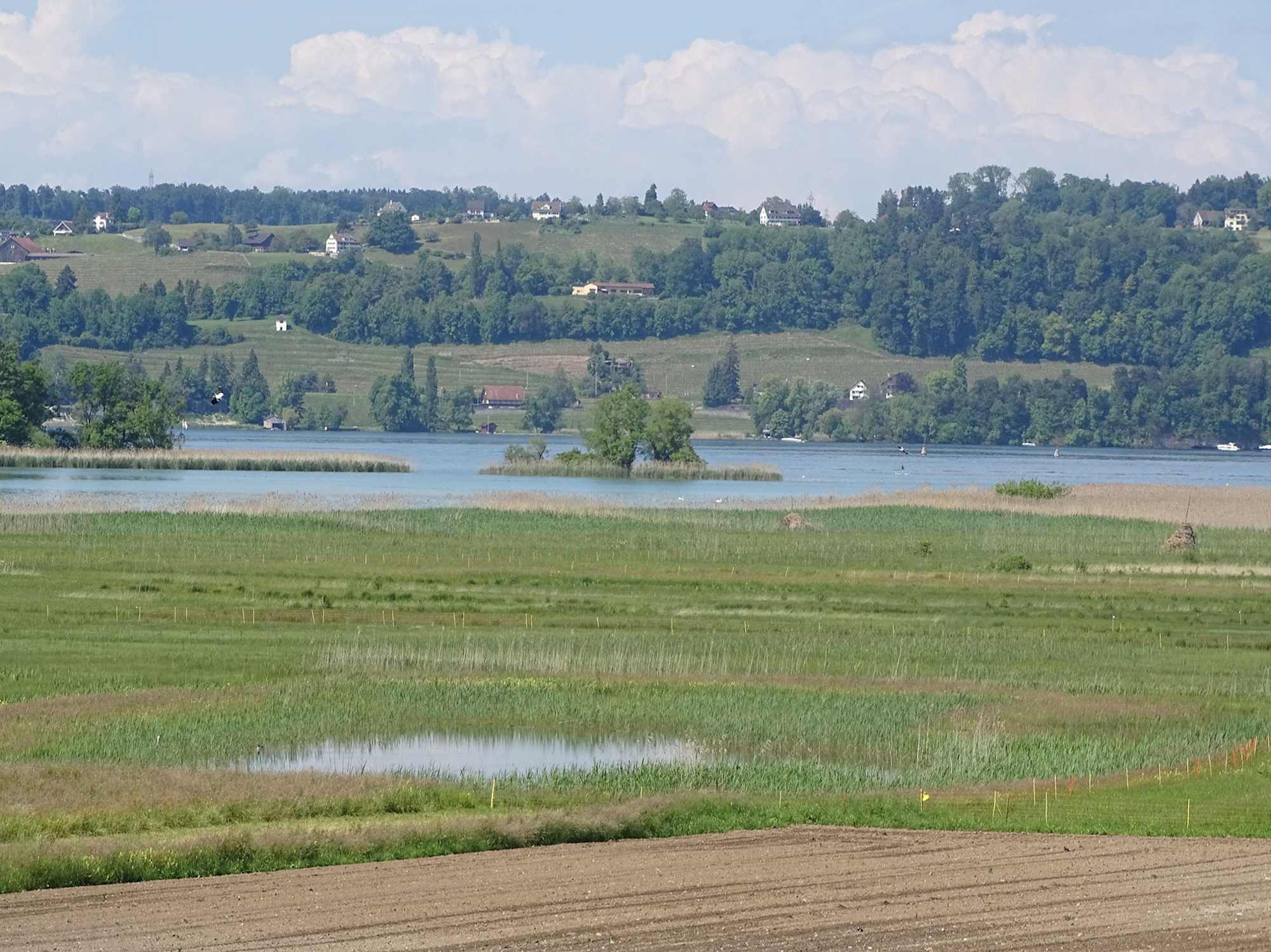 Frauenwinkel