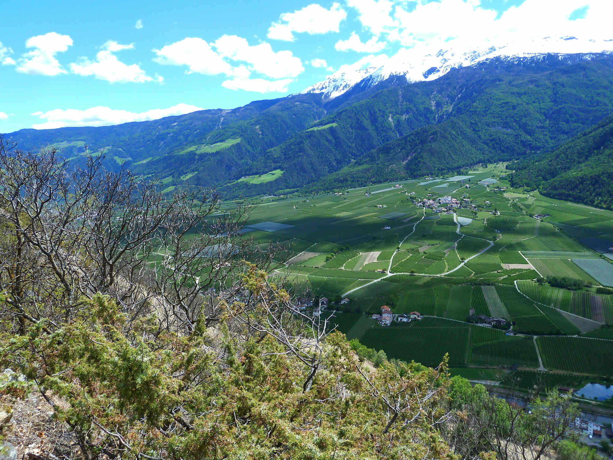 Im Vingschgau ist es unten grün und oben noch ziemlich weiß.
