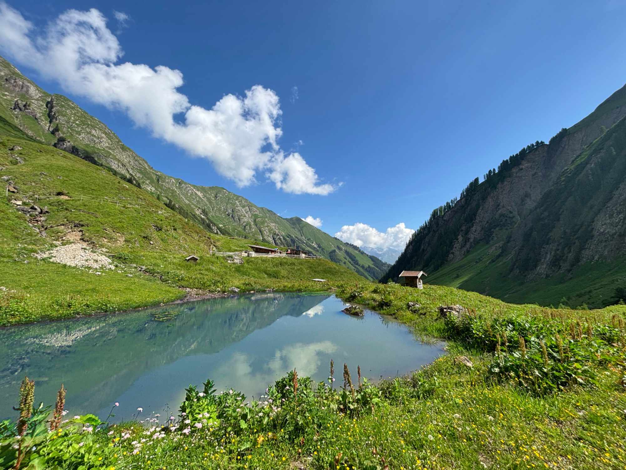 Die Baumgartalm mit kleinem Teich