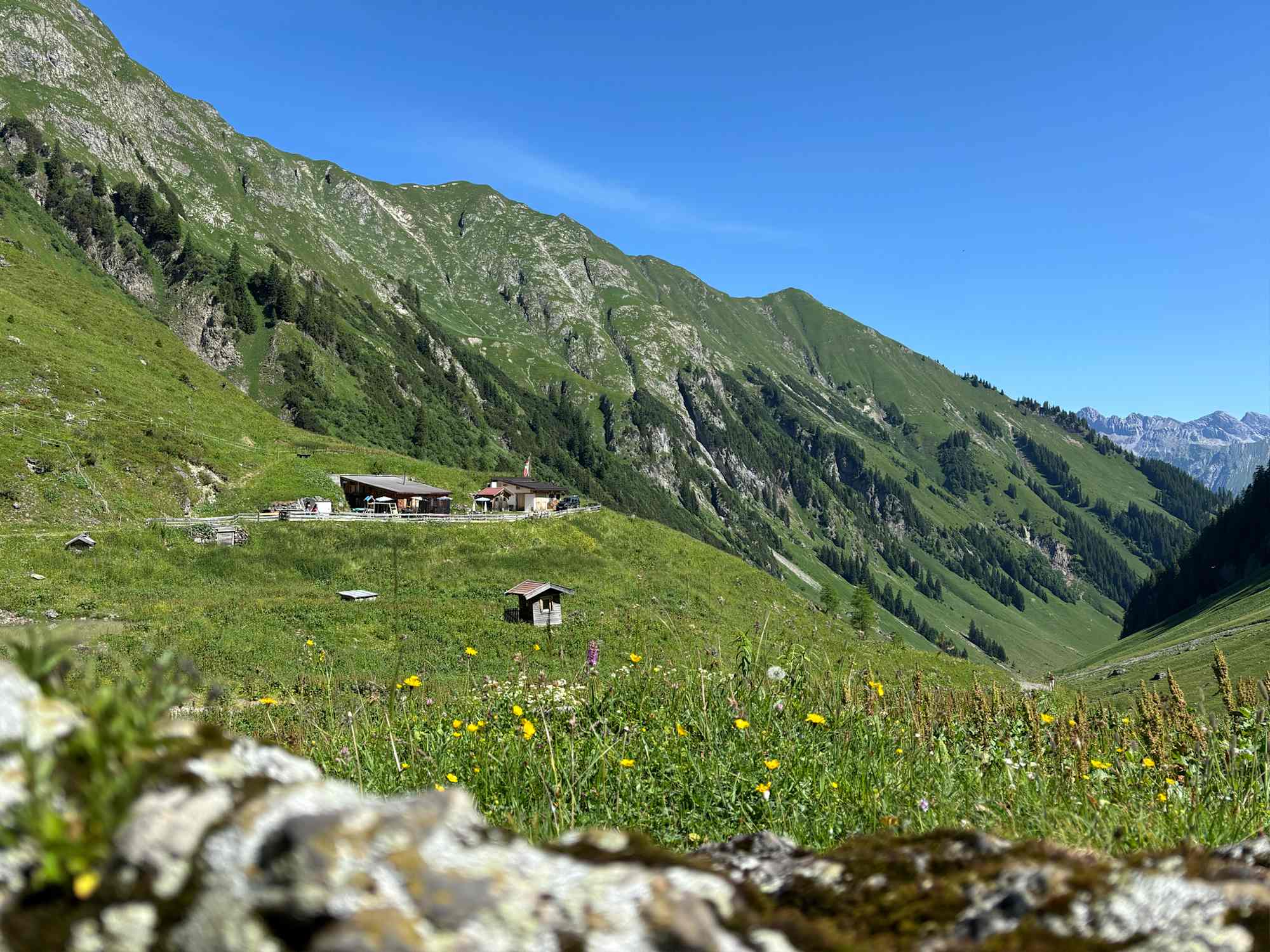 Die Baumgartalm - Blick talauswärts