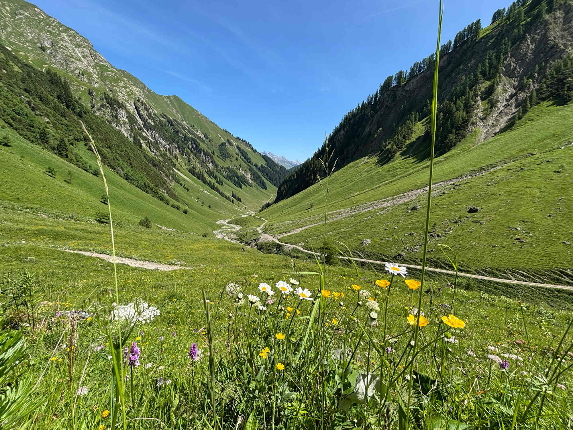 Am Weg zur Baumgartalm